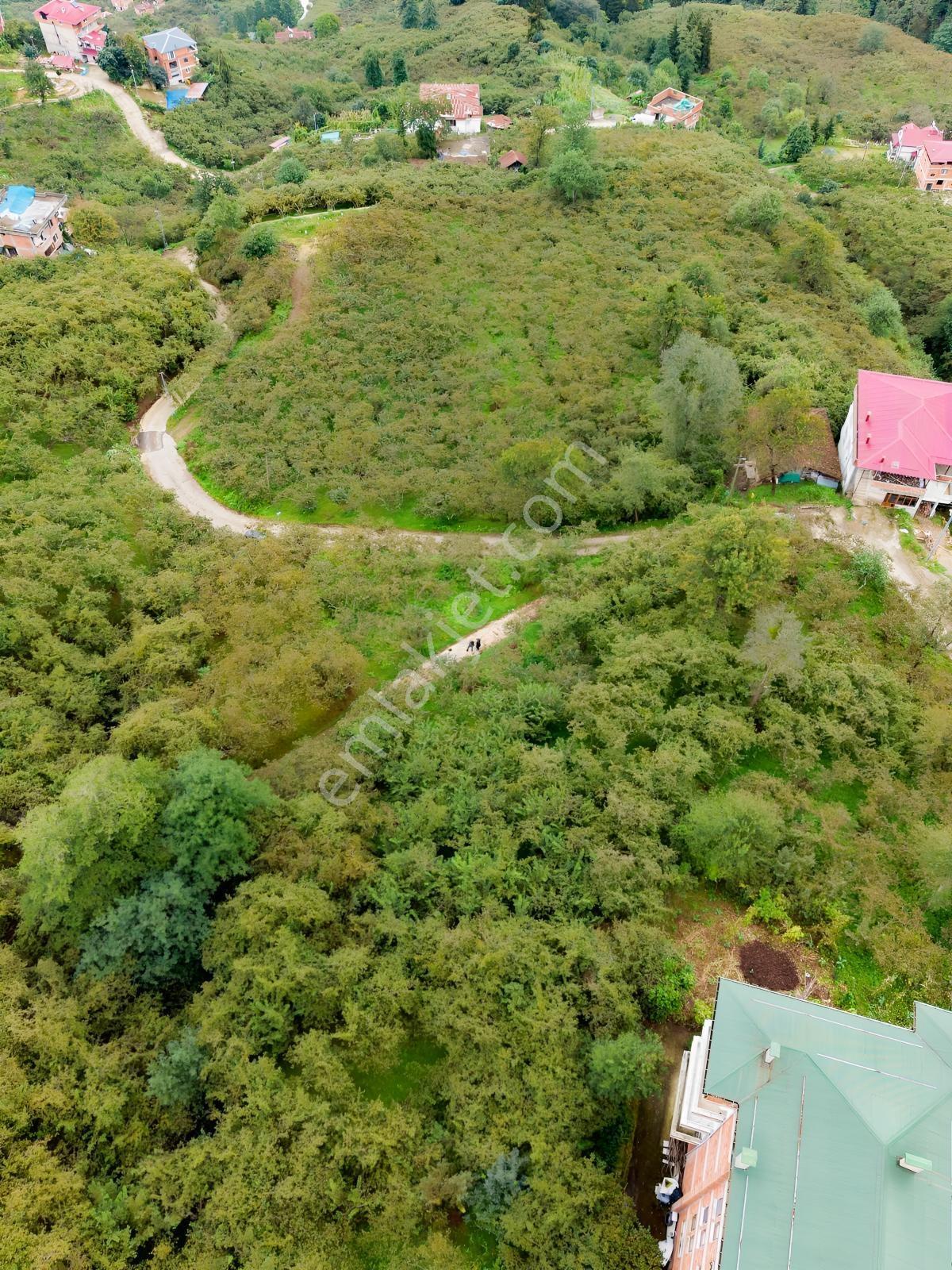 Trabzon Yomra Yenice'De Deniz Manzaralı Fırsat Arsalar
