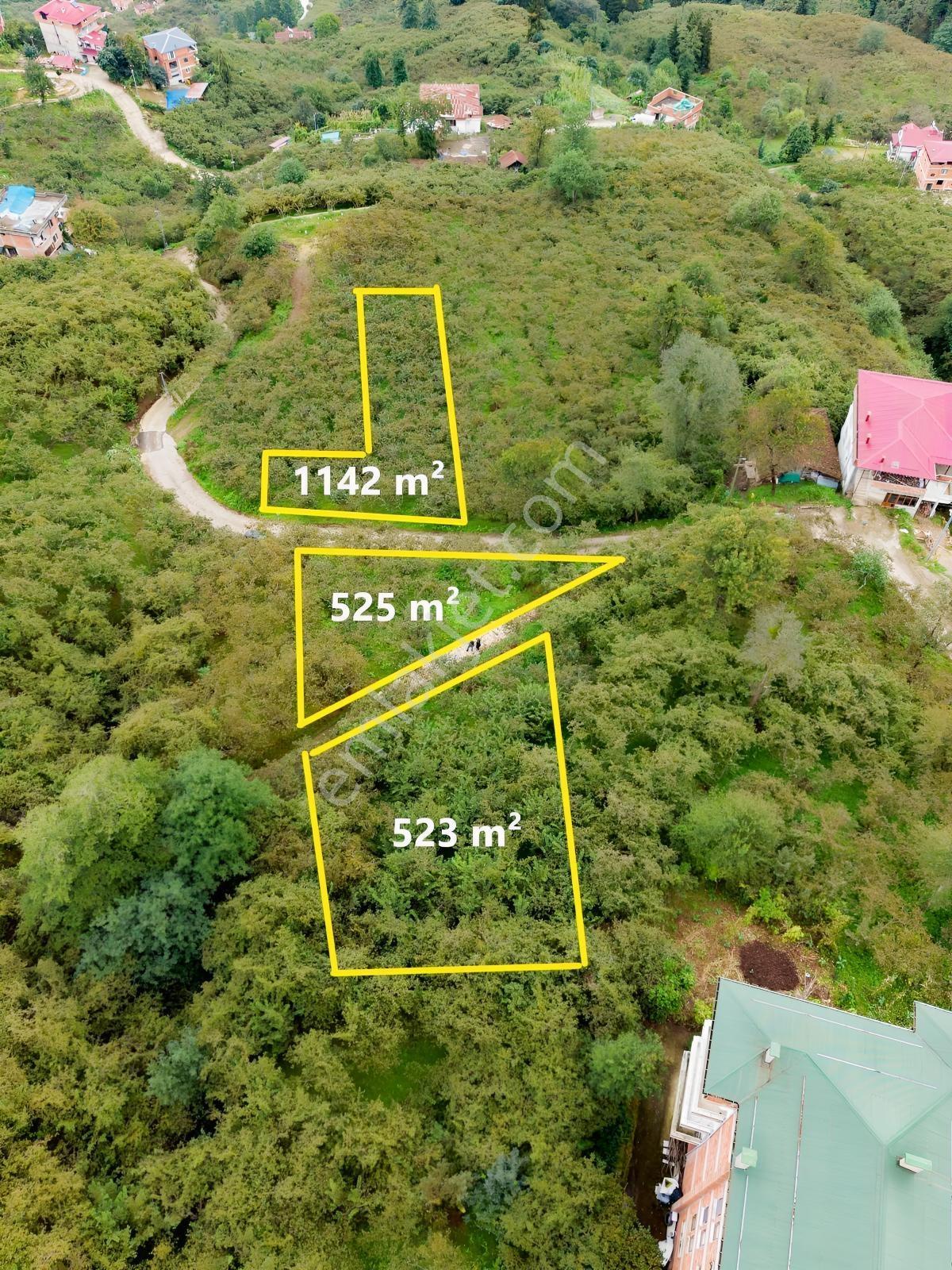 Trabzon Yomra Yenice'de Deniz Manzaralı Fırsat Arsalar — fotoğraf 2