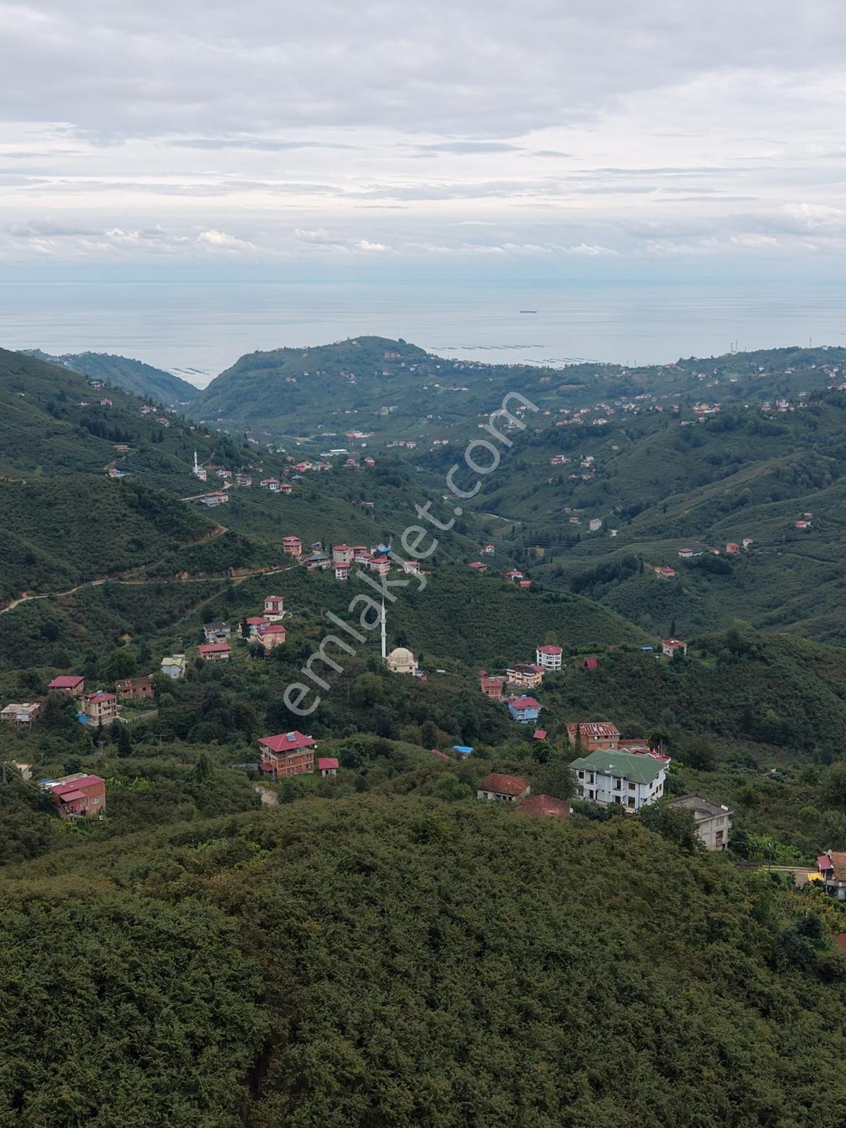 Trabzon Yomra Yenice'de Deniz Manzaralı Fırsat Arsalar — fotoğraf 3
