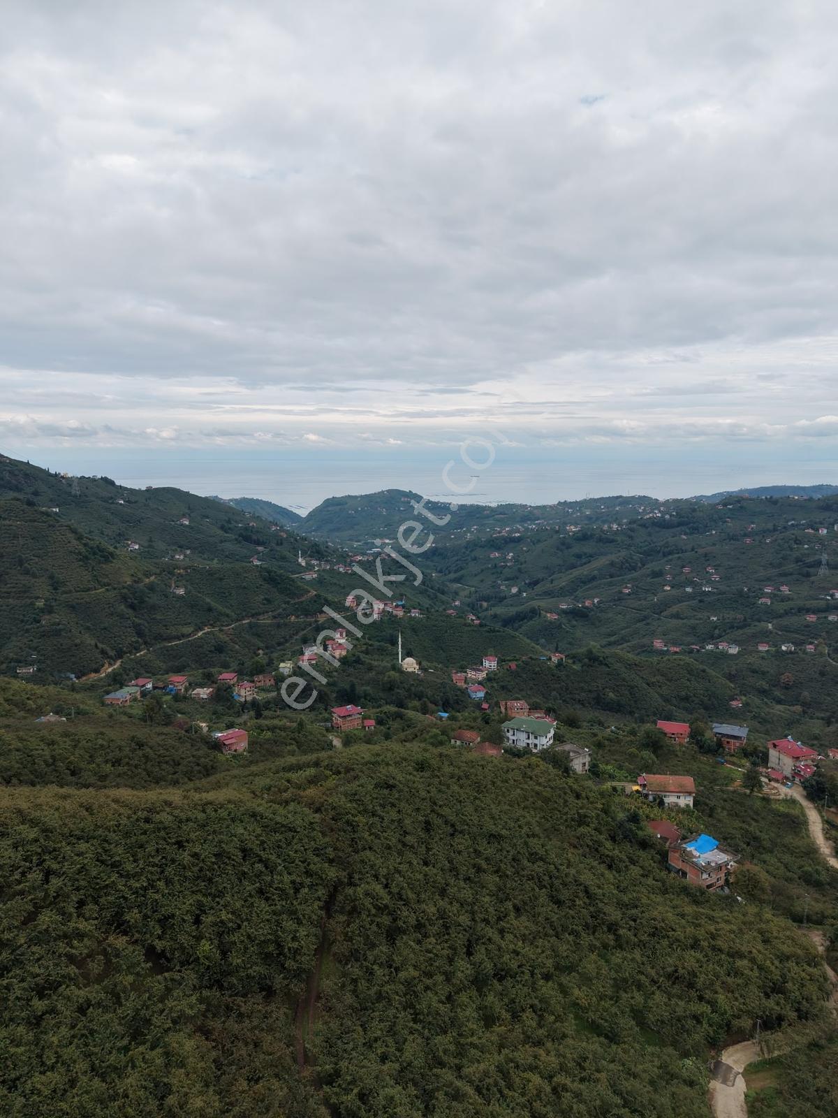 Trabzon Yomra Yenice'de Deniz Manzaralı Fırsat Arsalar — fotoğraf 4