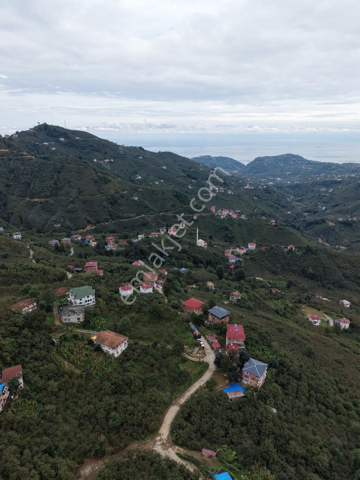 Trabzon Yomra Yenice'de Deniz Manzaralı Fırsat Arsalar — fotoğraf 5