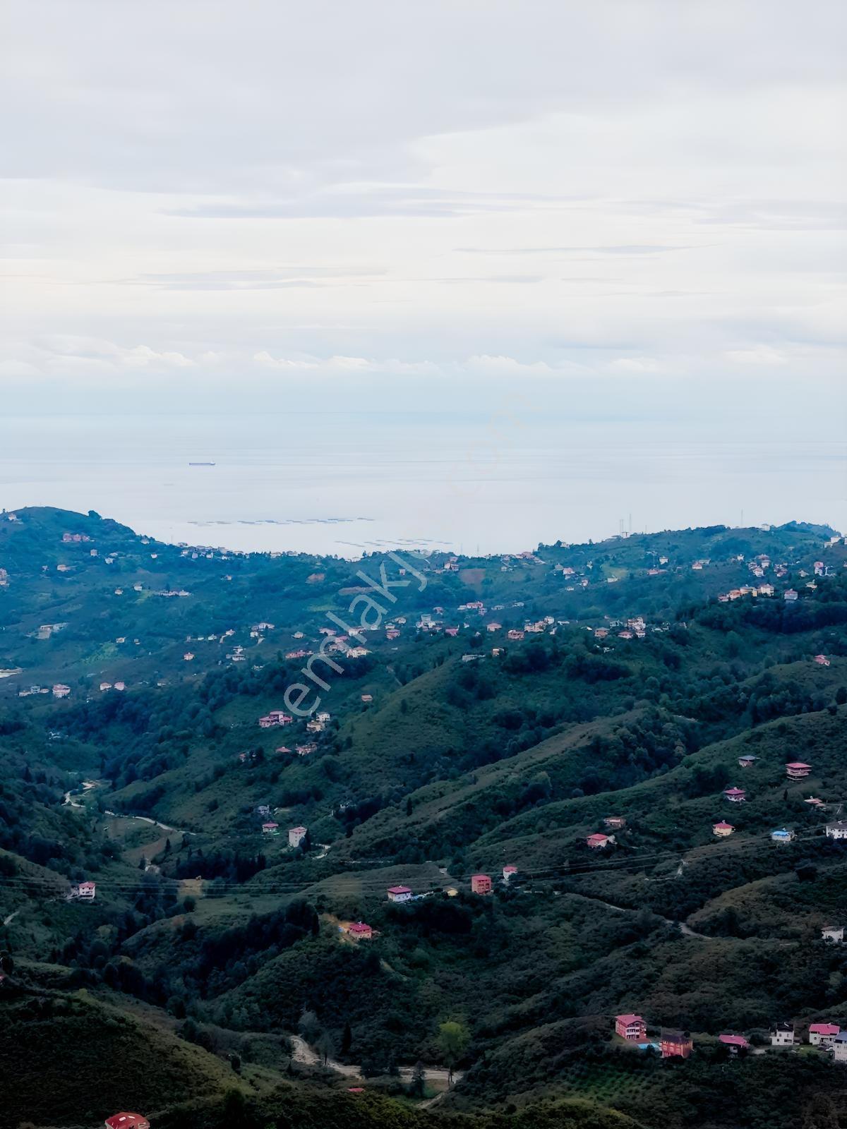 Trabzon Yomra Yenice'de Deniz Manzaralı Fırsat Arsalar — fotoğraf 6