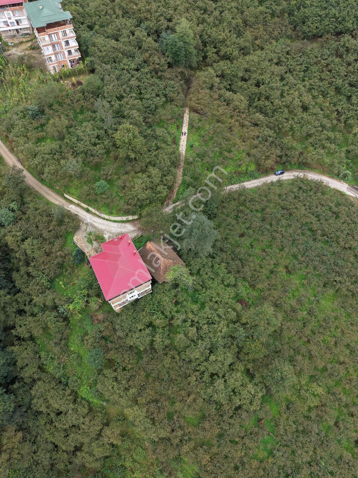 Trabzon Yomra Yenice'de Deniz Manzaralı Fırsat Arsalar — fotoğraf 7