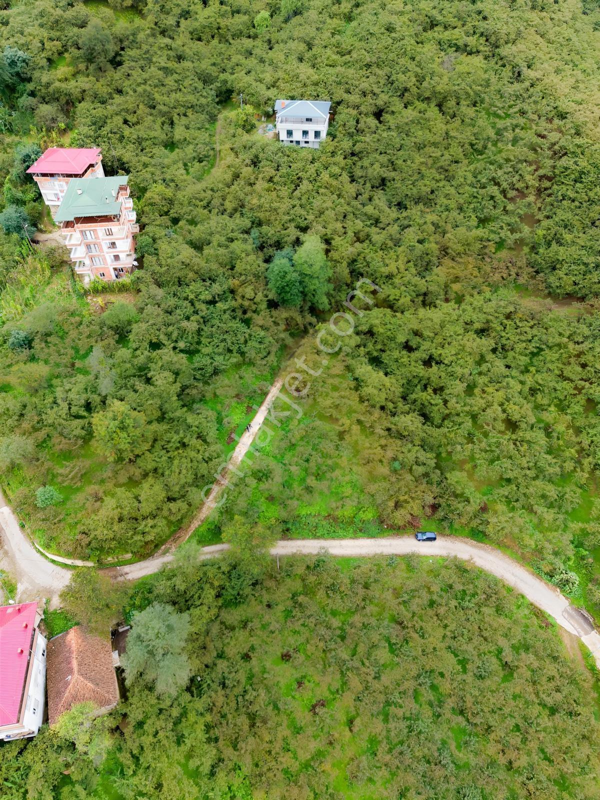 Trabzon Yomra Yenice'de Deniz Manzaralı Fırsat Arsalar — fotoğraf 8