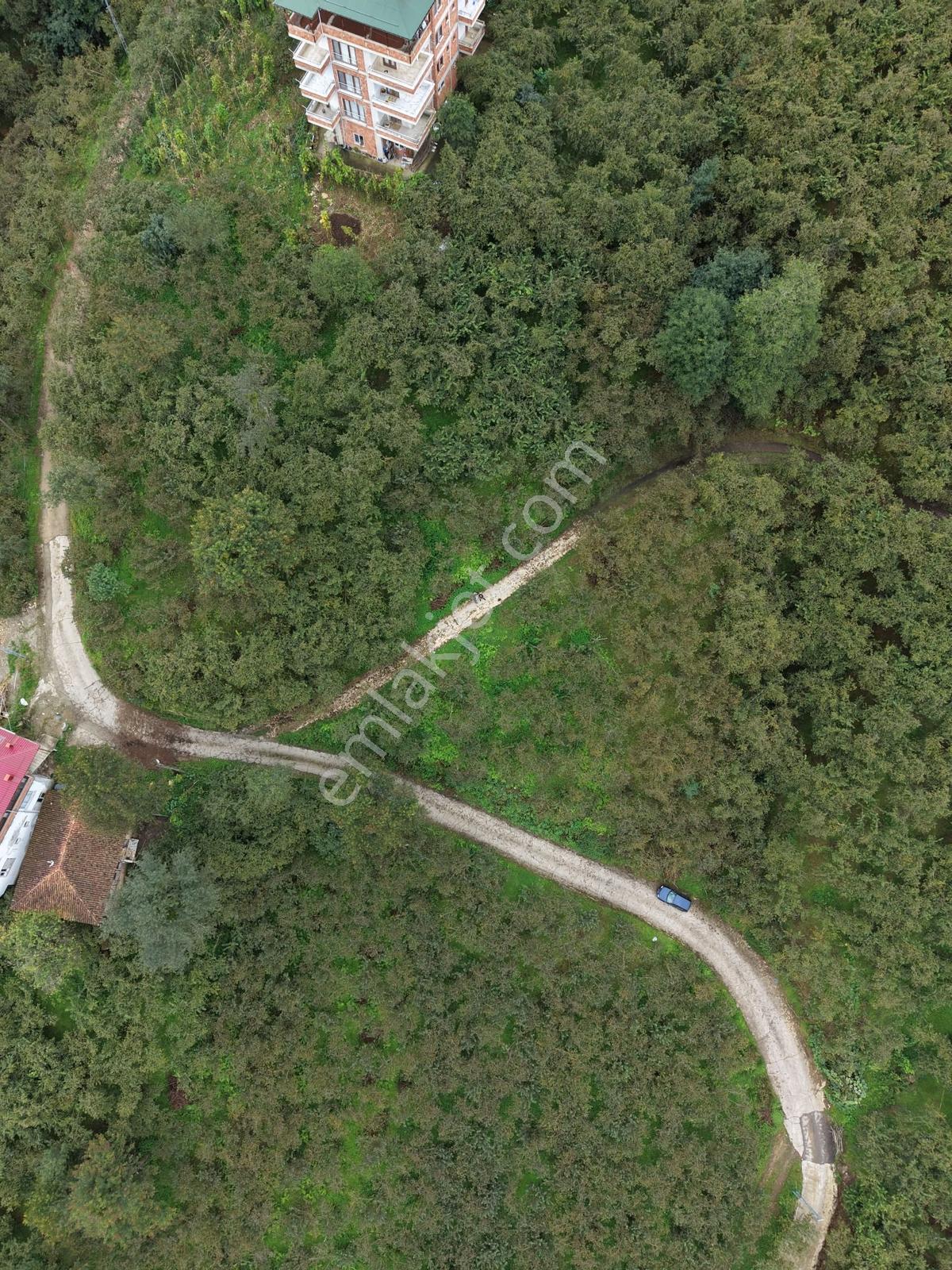 Trabzon Yomra Yenice'de Deniz Manzaralı Fırsat Arsalar — fotoğraf 9