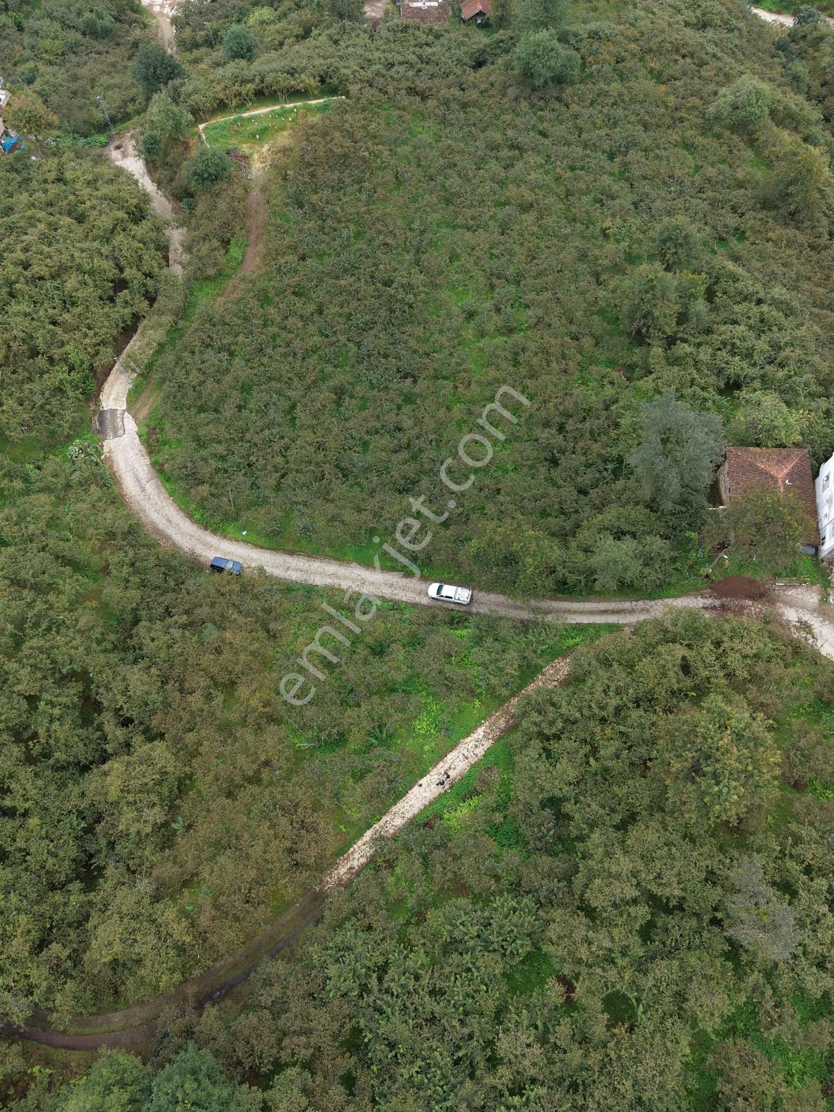 Trabzon Yomra Yenice'de Deniz Manzaralı Fırsat Arsalar — fotoğraf 11