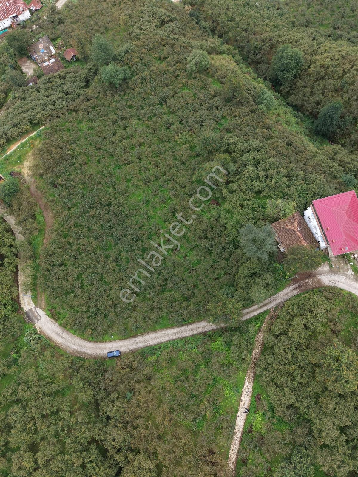 Trabzon Yomra Yenice'de Deniz Manzaralı Fırsat Arsalar — fotoğraf 12