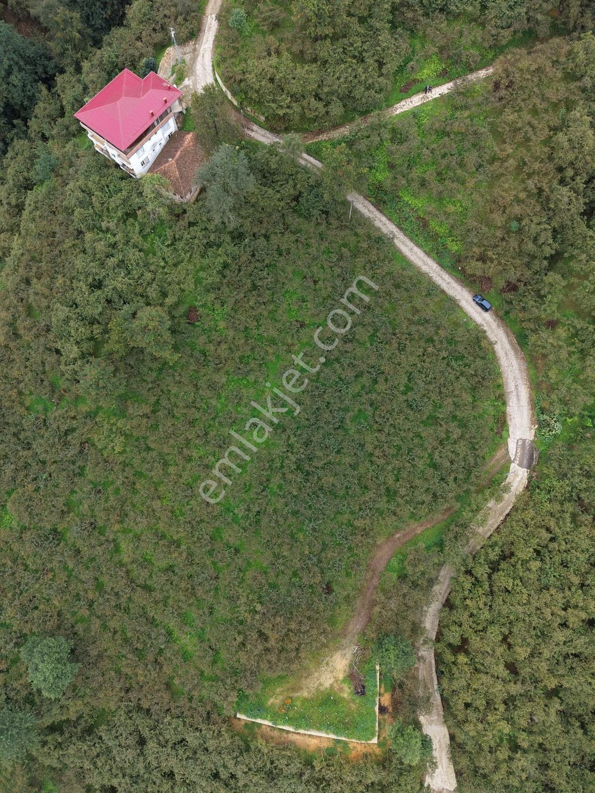 Trabzon Yomra Yenice'de Deniz Manzaralı Fırsat Arsalar — fotoğraf 14
