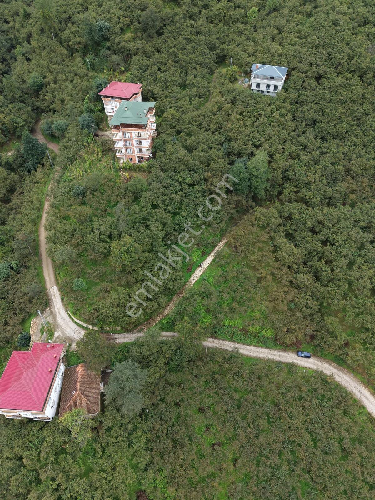 Trabzon Yomra Yenice'de Deniz Manzaralı Fırsat Arsalar — fotoğraf 15