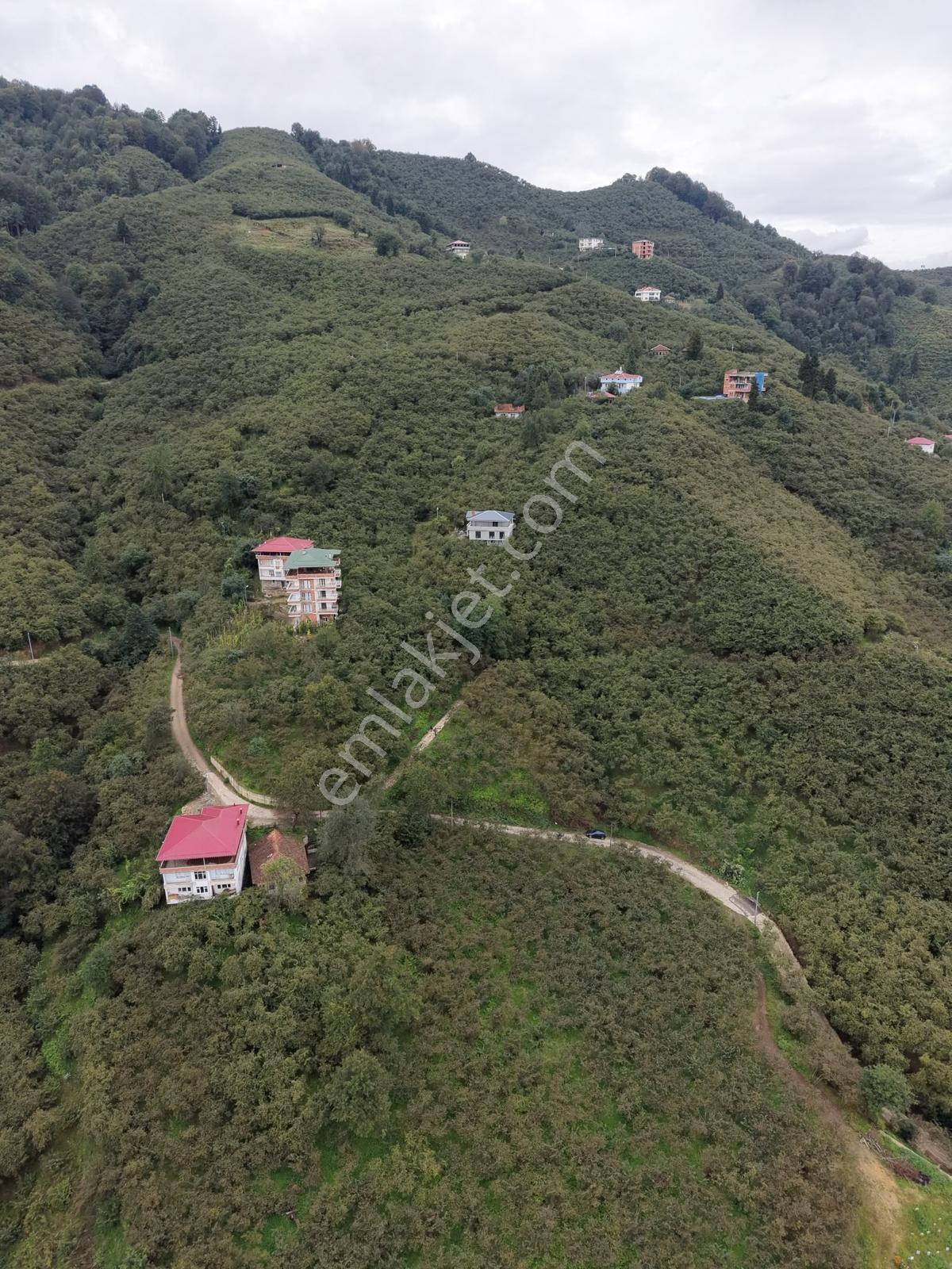 Trabzon Yomra Yenice'de Deniz Manzaralı Fırsat Arsalar — fotoğraf 16