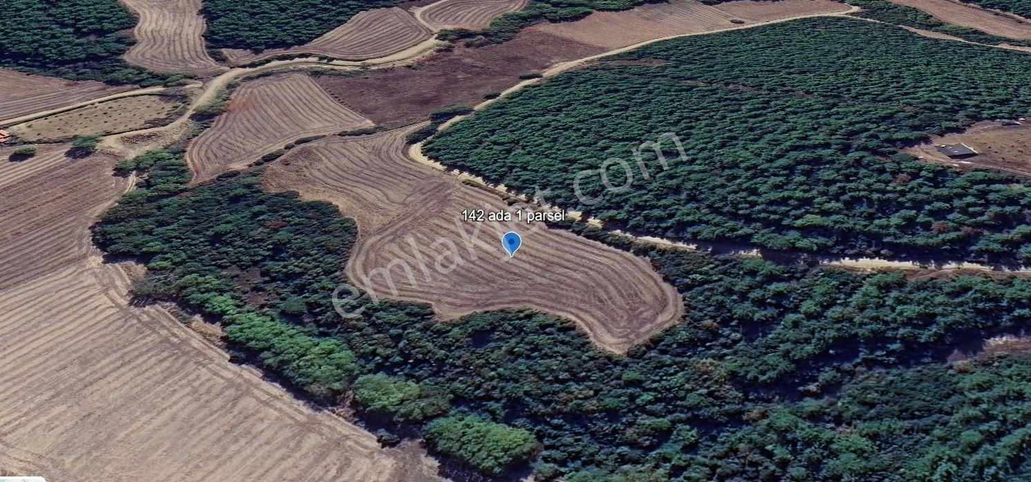 Çanakkale Ilgardere Yatırımlık Ve Verimli 9.372 M2 Satılık Tarla — fotoğraf 5