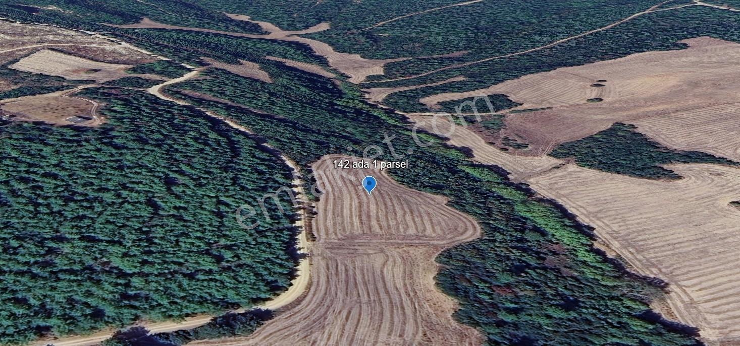 Çanakkale Ilgardere Yatırımlık Ve Verimli 9.372 M2 Satılık Tarla — fotoğraf 6