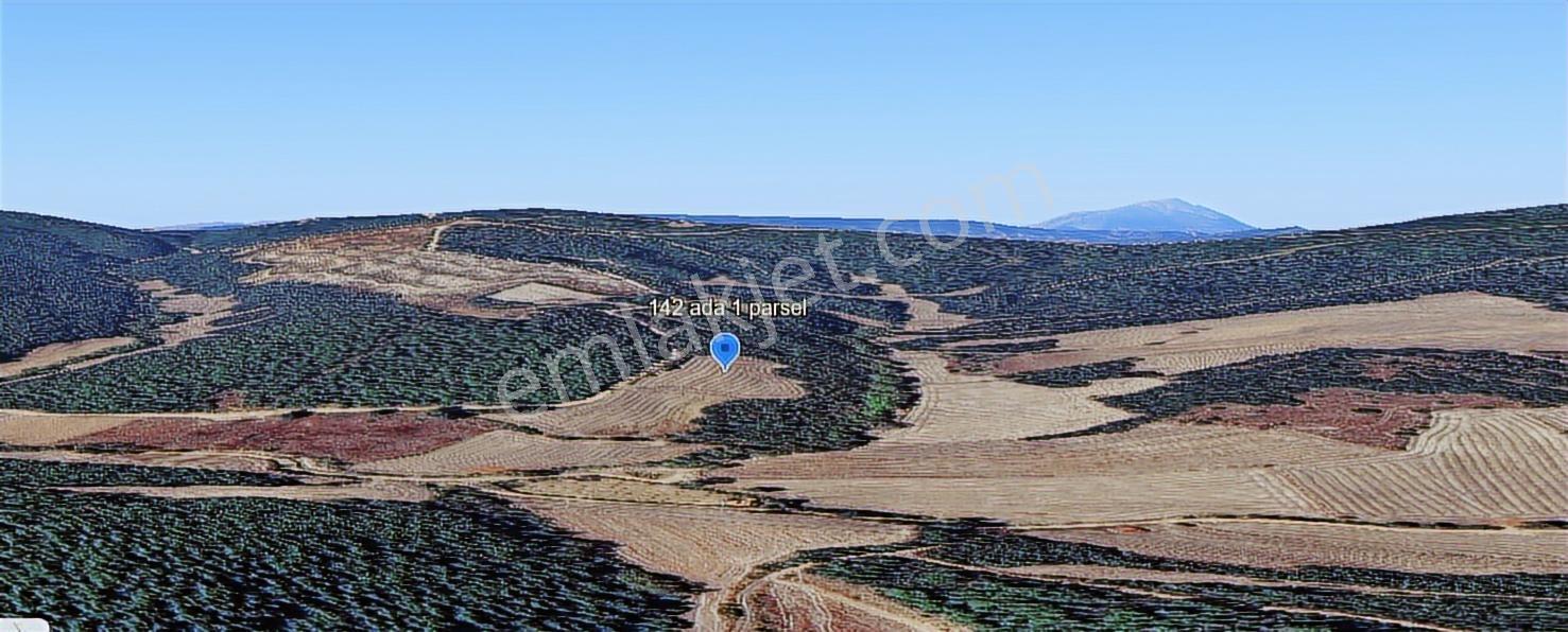 Çanakkale Ilgardere Yatırımlık Ve Verimli 9.372 M2 Satılık Tarla — fotoğraf 7