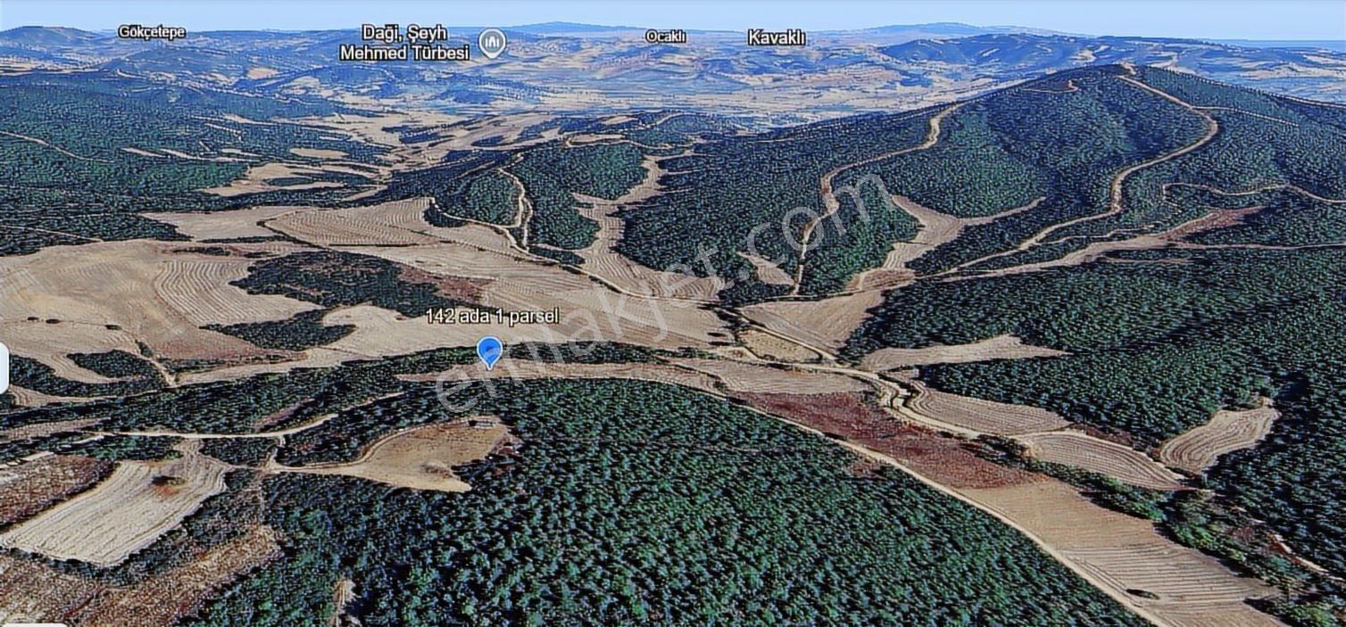 Çanakkale Ilgardere Yatırımlık Ve Verimli 9.372 M2 Satılık Tarla — fotoğraf 8