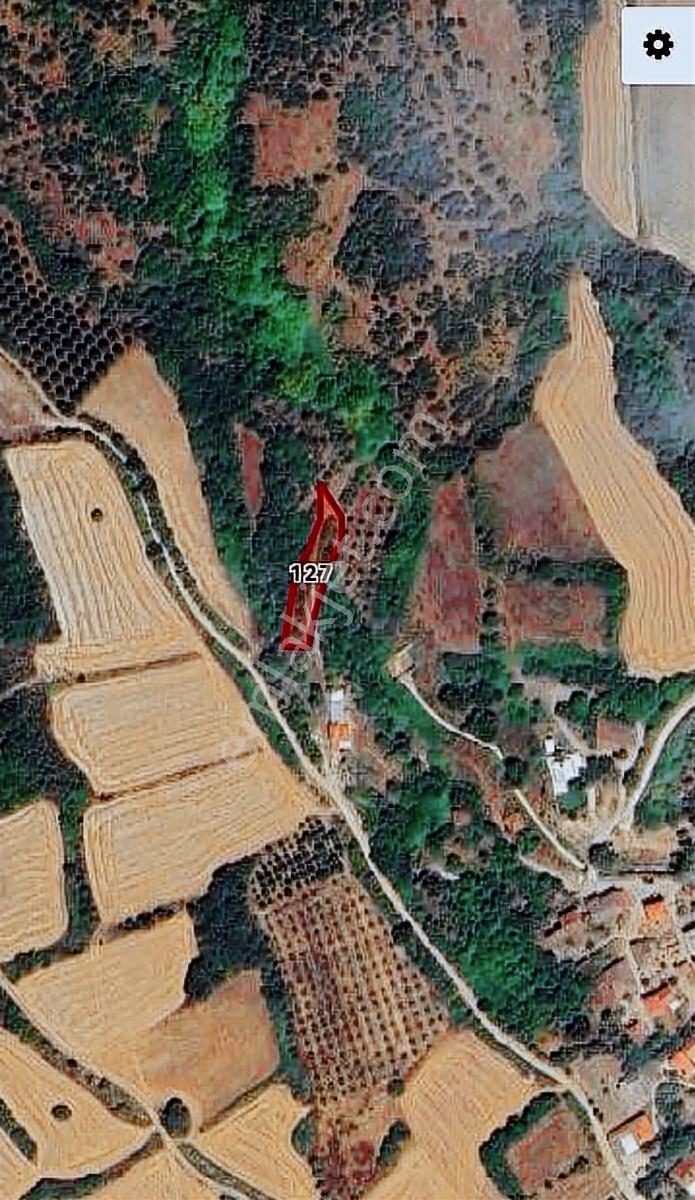 Selçuklu'dan Çamlıca'da Yerleşime Yakın Fırsat Tarla — fotoğraf 2