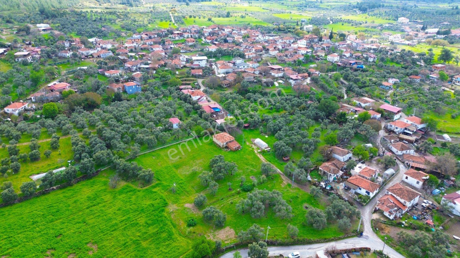 Milas Çamköy Mahellesinde 2627 M² Konut İmarlı Arsa