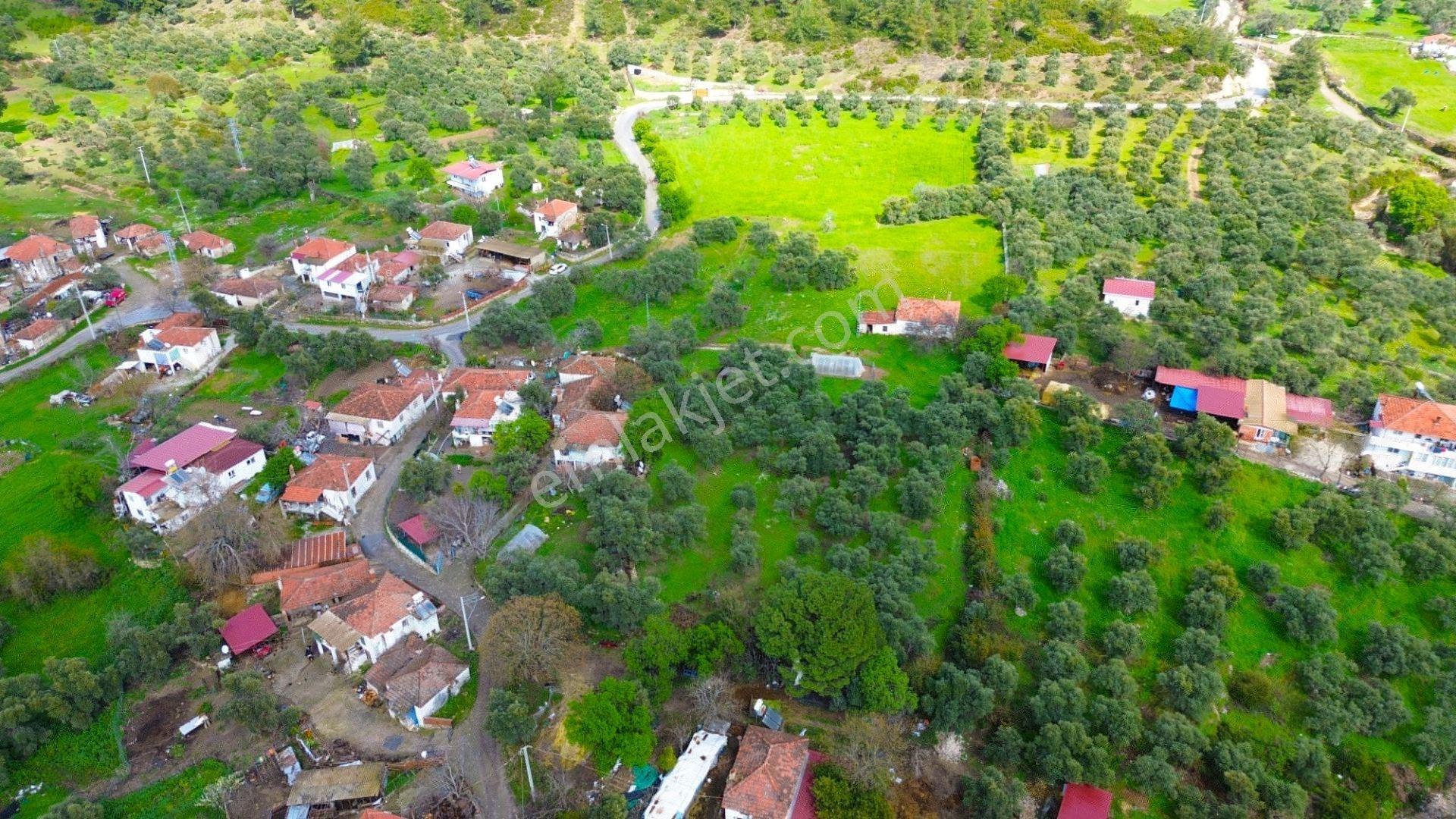 Milas Çamköy Mahellesinde 2627 M² Konut İmarlı Arsa — fotoğraf 6