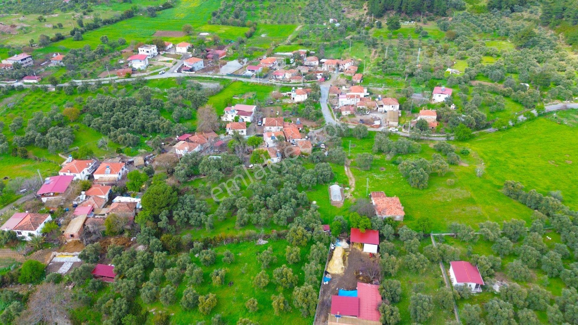 Milas Çamköy Mahellesinde 2627 M² Konut İmarlı Arsa — fotoğraf 7