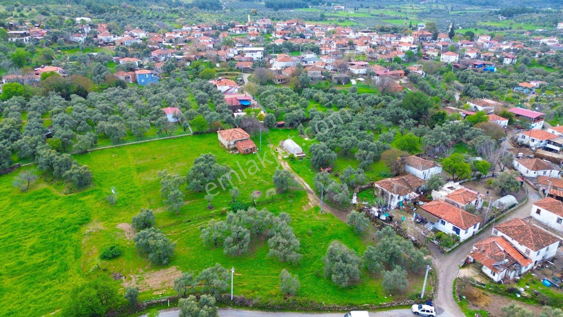Milas Çamköy Mahellesinde 2627 M² Konut İmarlı Arsa — fotoğraf 8