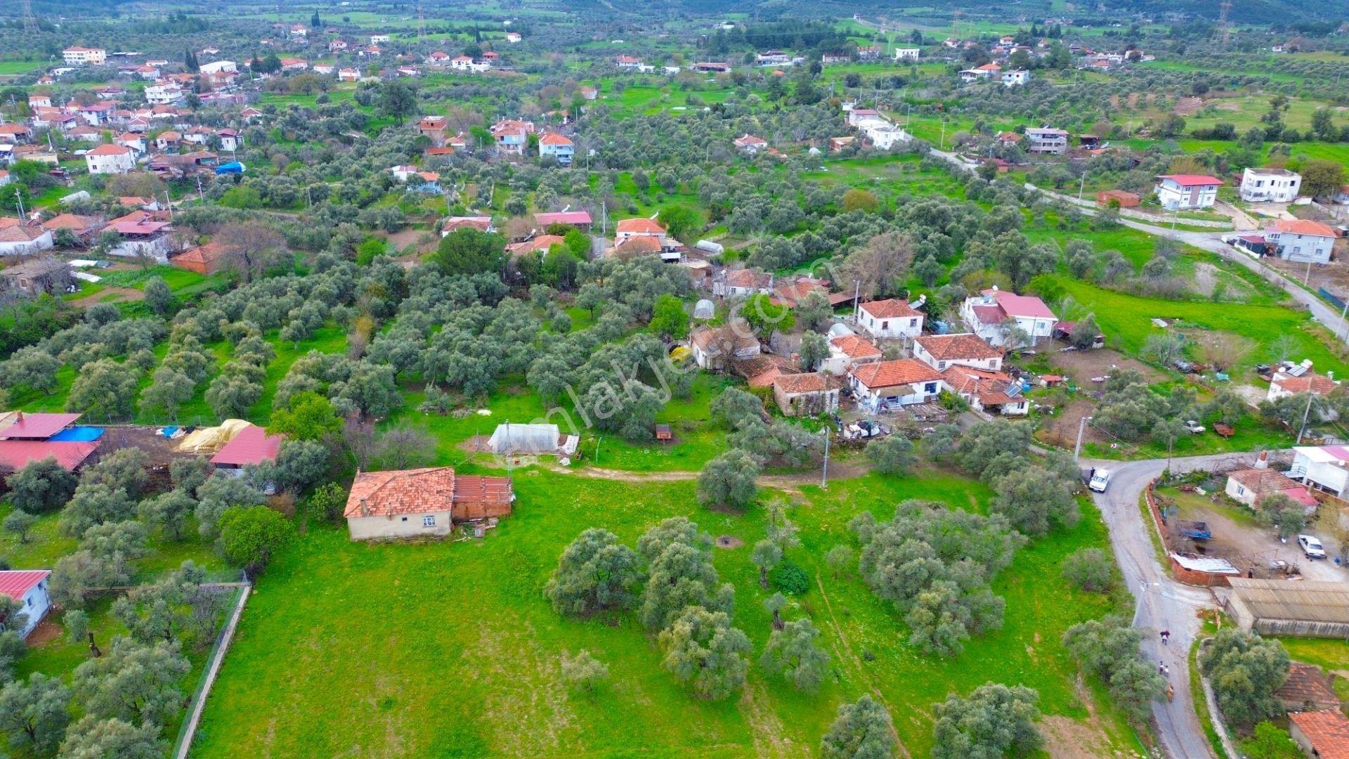 Milas Çamköy Mahellesinde 2627 M² Konut İmarlı Arsa — fotoğraf 9