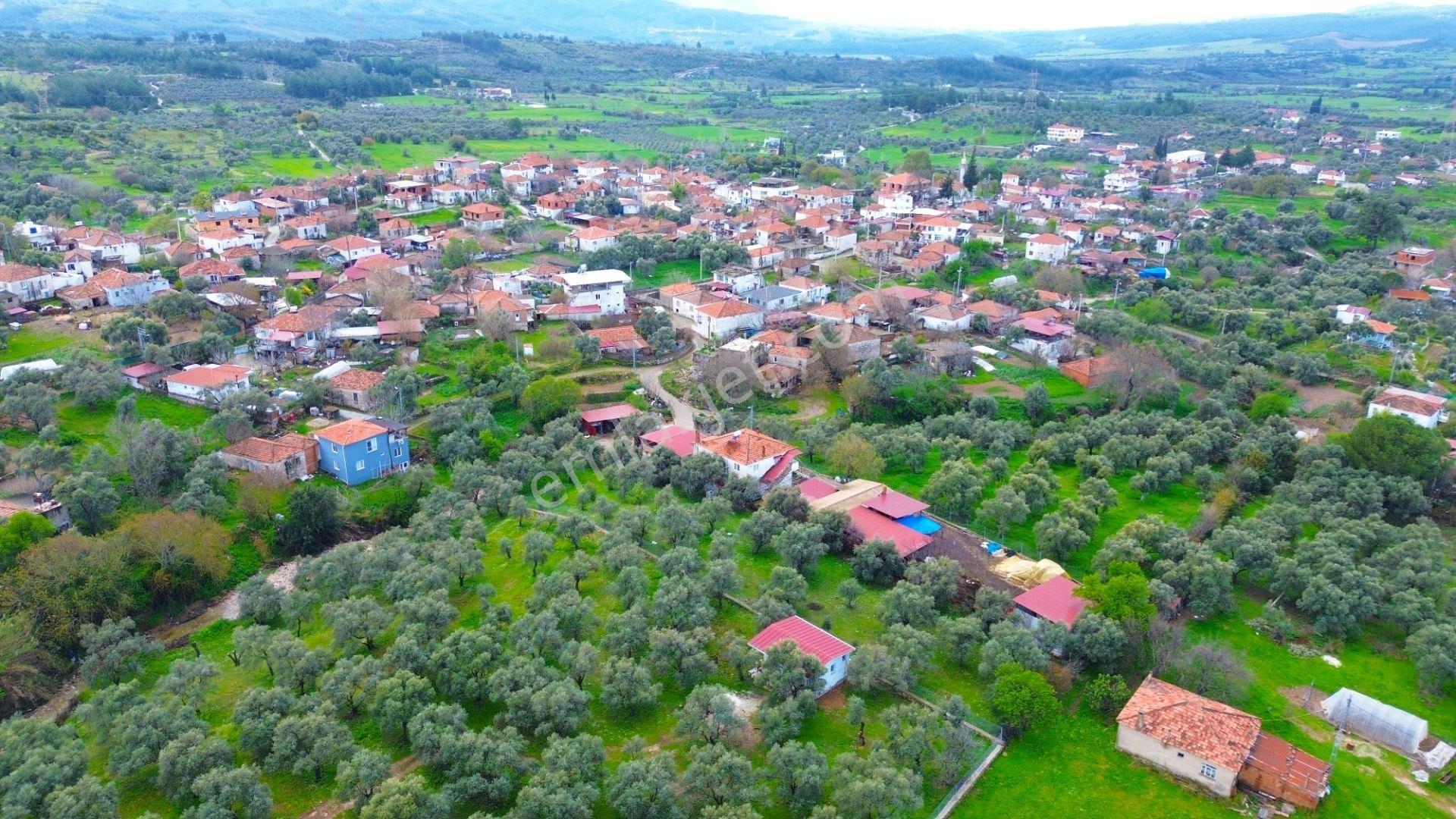 Milas Çamköy Mahellesinde 2627 M² Konut İmarlı Arsa — fotoğraf 10