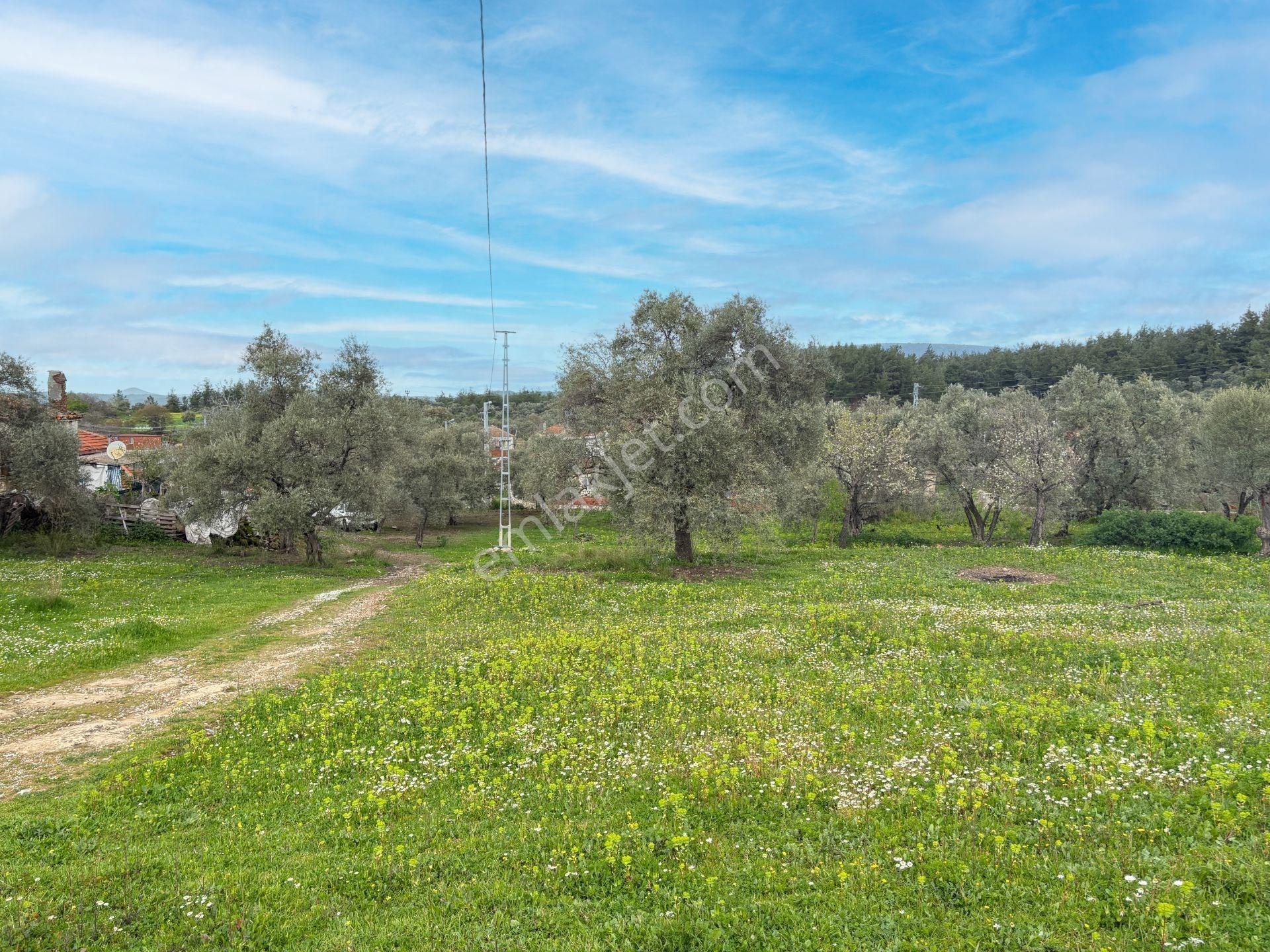 Milas Çamköy Mahellesinde 2627 M² Konut İmarlı Arsa — fotoğraf 11