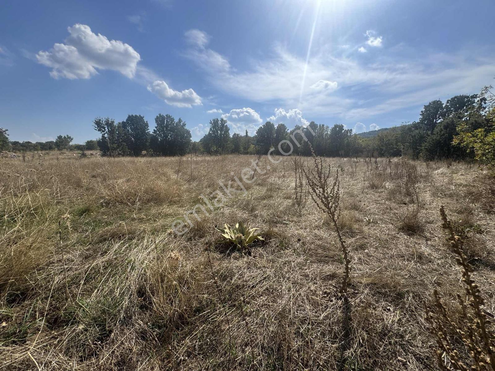 Muğla Menteşe Yaraş Mahallesinde İmarlı Arsa — fotoğraf 20