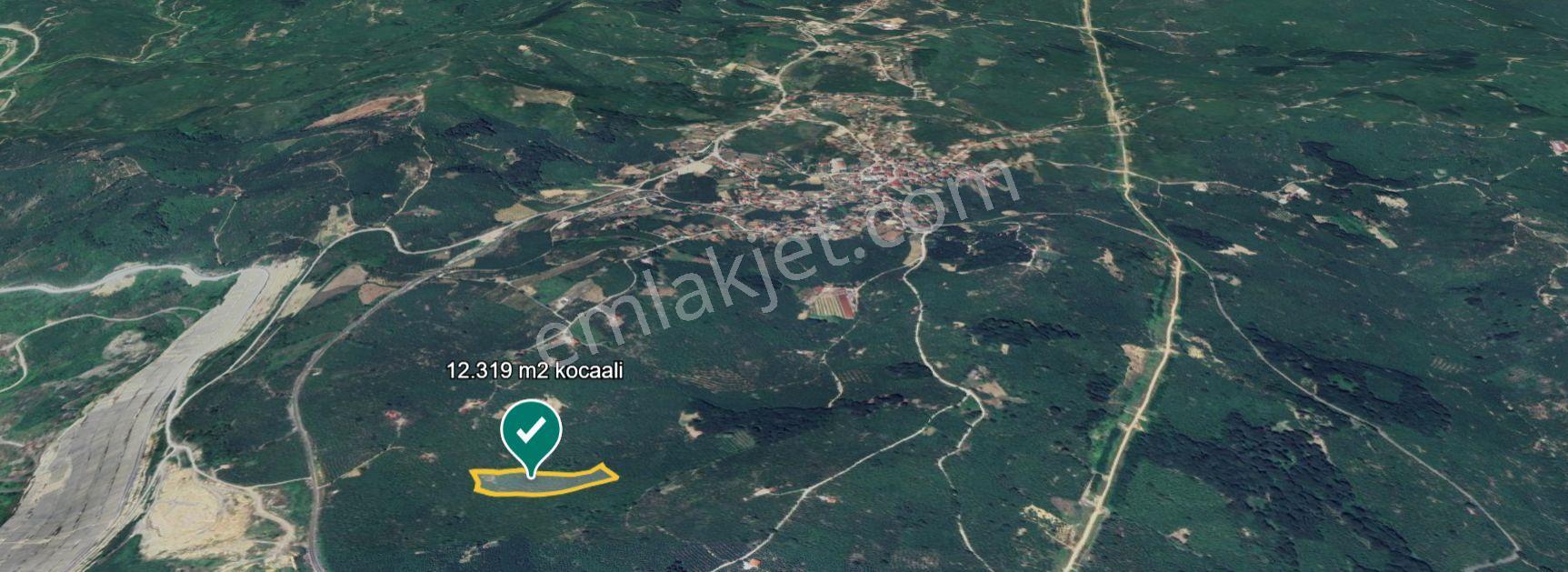 Kocaali Gümüşoluk'ta Satılık 12.316 M² Fındık Bahçesi — fotoğraf 4