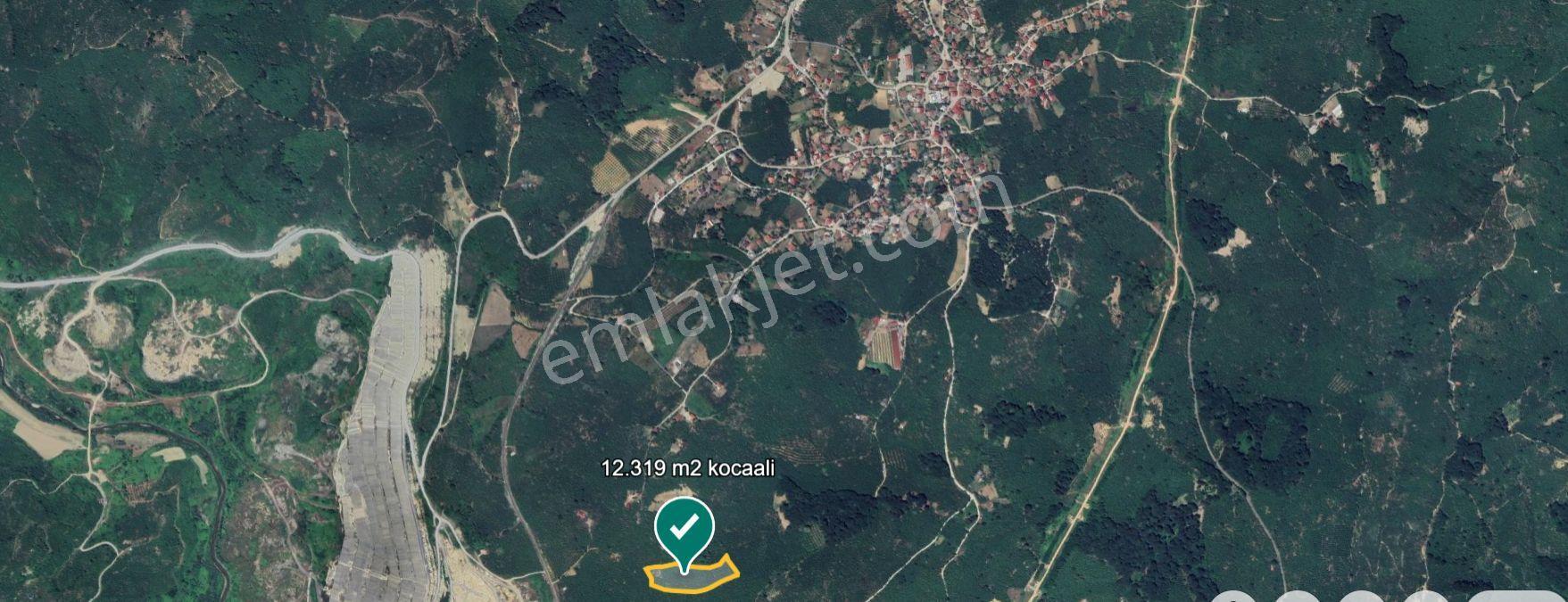 Kocaali Gümüşoluk'ta Satılık 12.316 M² Fındık Bahçesi — fotoğraf 5