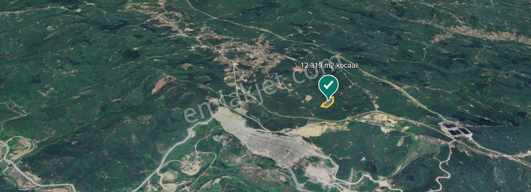 Kocaali Gümüşoluk'ta Satılık 12.316 M² Fındık Bahçesi — fotoğraf 6