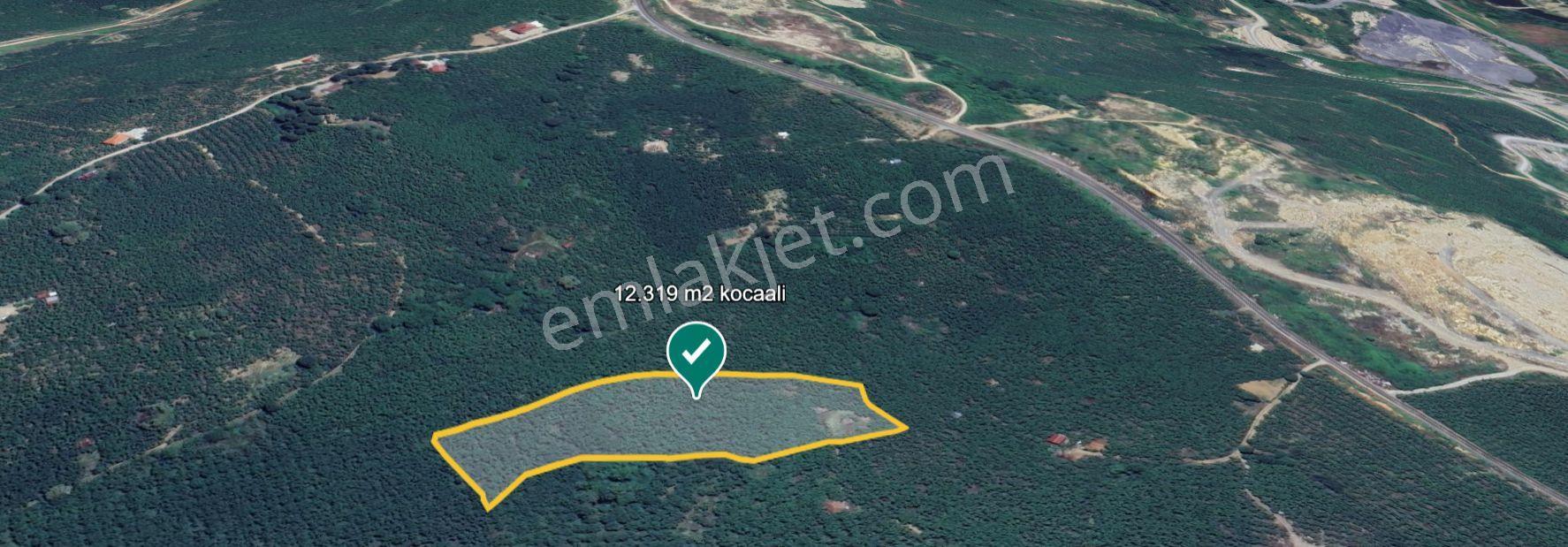 Kocaali Gümüşoluk'ta Satılık 12.316 M² Fındık Bahçesi — fotoğraf 8