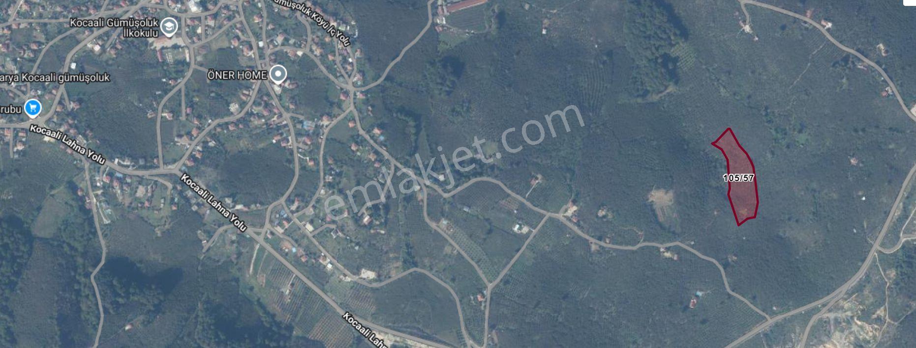 Kocaali Gümüşoluk'ta Satılık 12.316 M² Fındık Bahçesi — fotoğraf 9