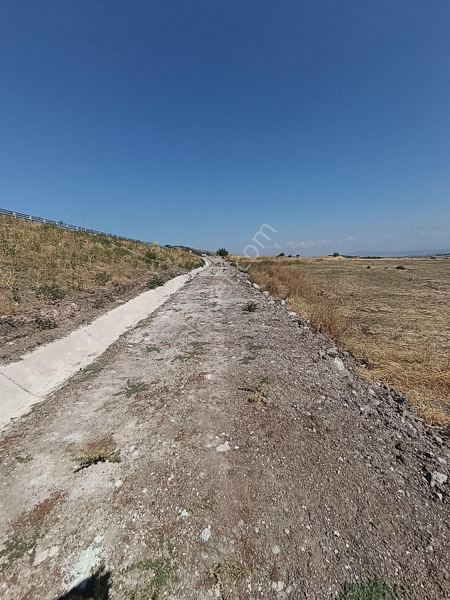 Balıkesir Altıeylül Karaman Da Satılık Tarla — fotoğraf 6