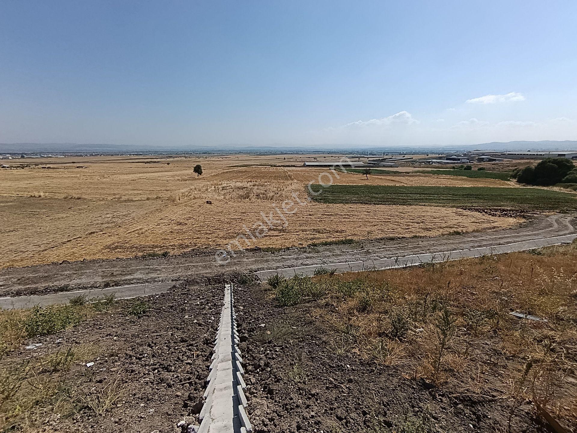 Balıkesir Altıeylül Karaman Da Satılık Tarla — fotoğraf 7