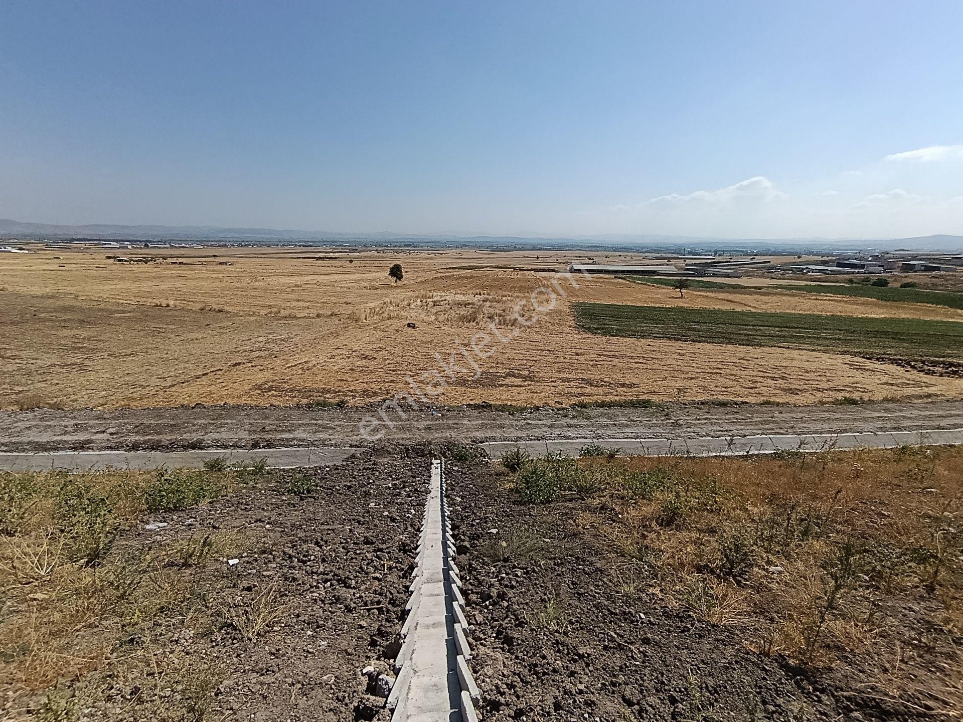 Balıkesir Altıeylül Karaman Da Satılık Tarla — fotoğraf 8