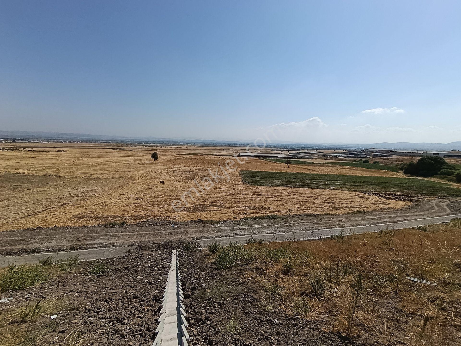 Balıkesir Altıeylül Karaman Da Satılık Tarla — fotoğraf 11