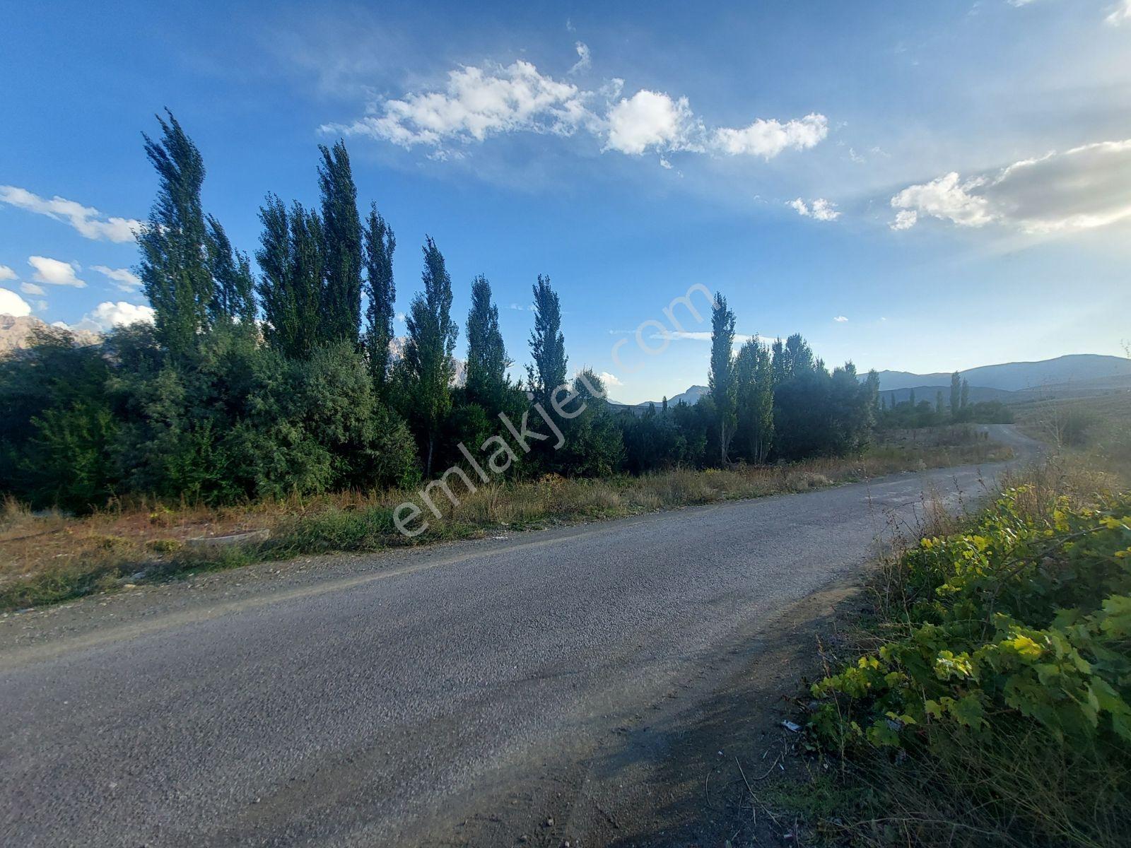 Çamardı'da Ecemiş Çayına Sıfır Satılık 8.775 M² Elma Bahçesi — fotoğraf 5