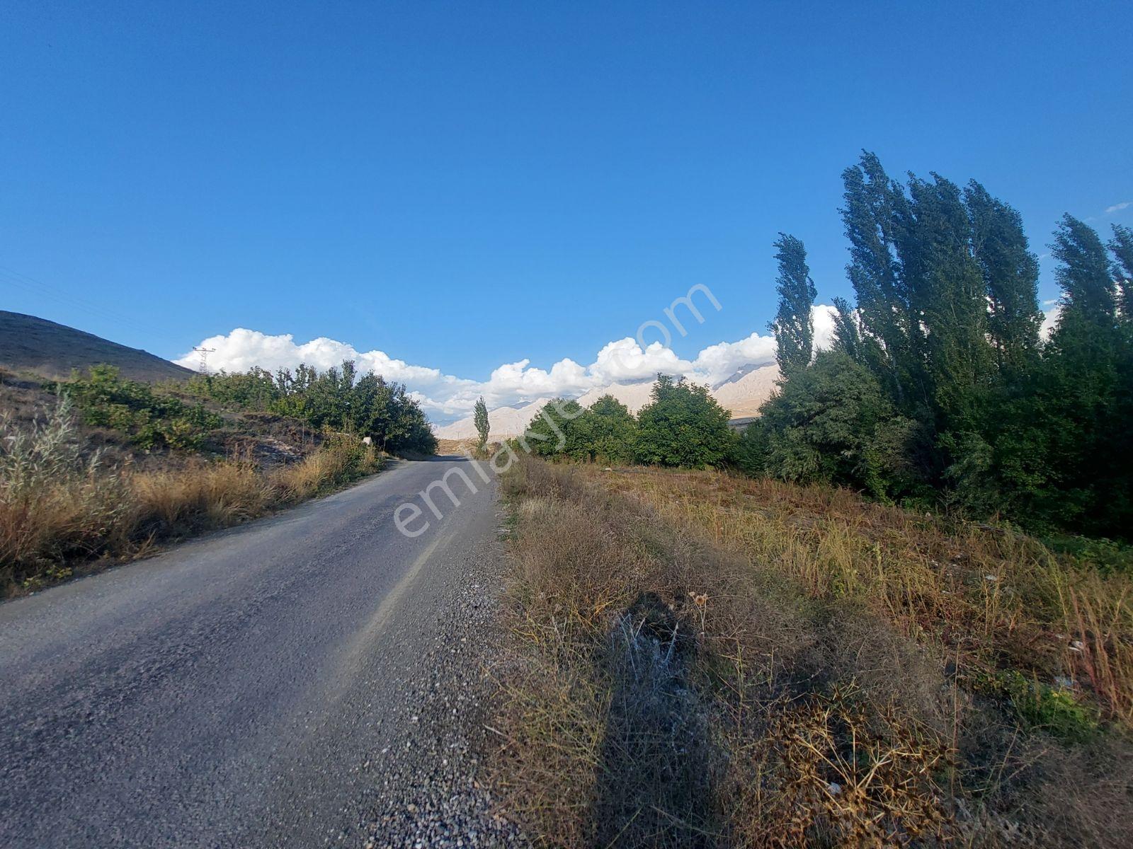 Çamardı'da Ecemiş Çayına Sıfır Satılık 8.775 M² Elma Bahçesi — fotoğraf 6