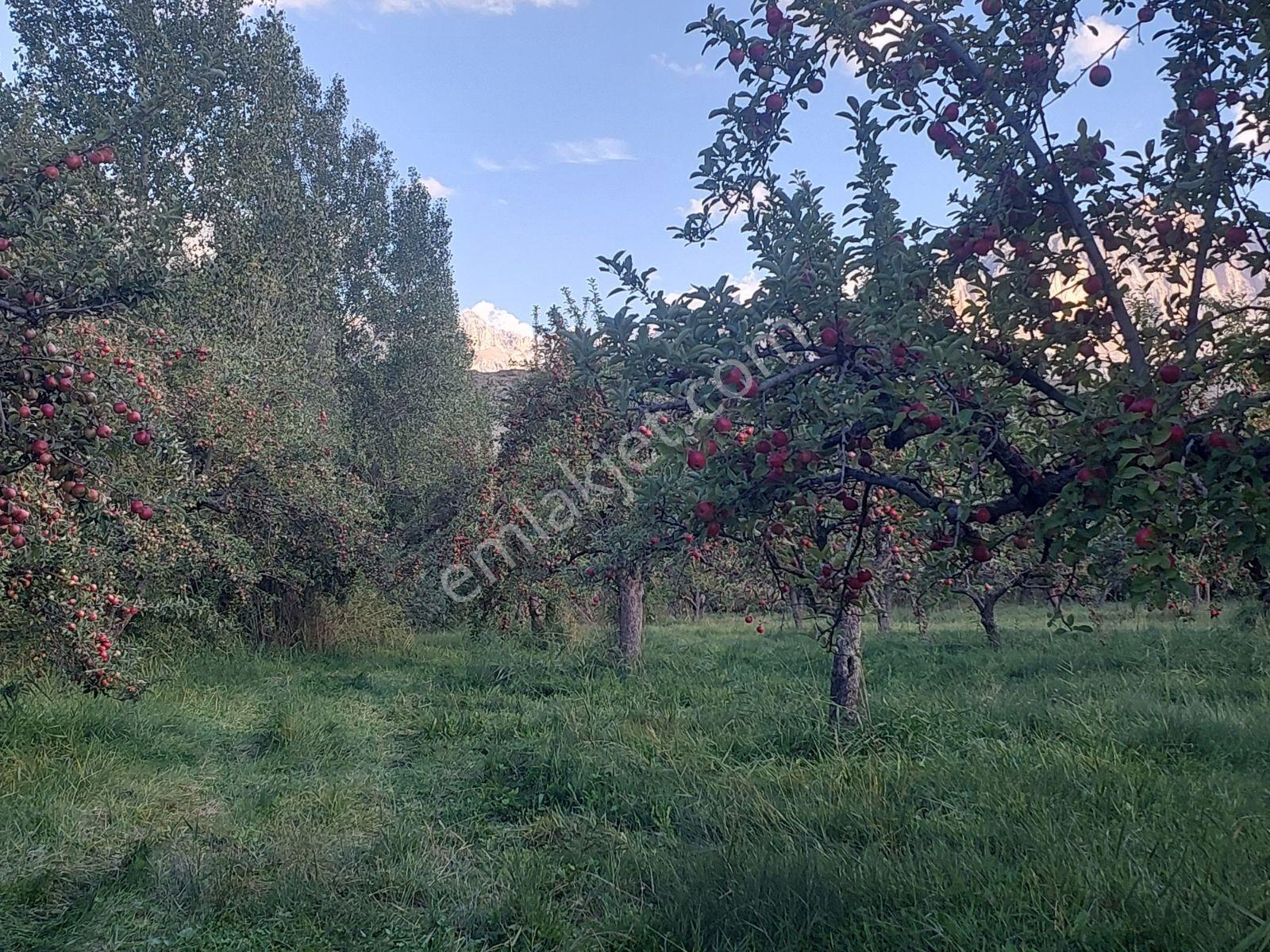 Çamardı'da Ecemiş Çayına Sıfır Satılık 8.775 M² Elma Bahçesi — fotoğraf 19