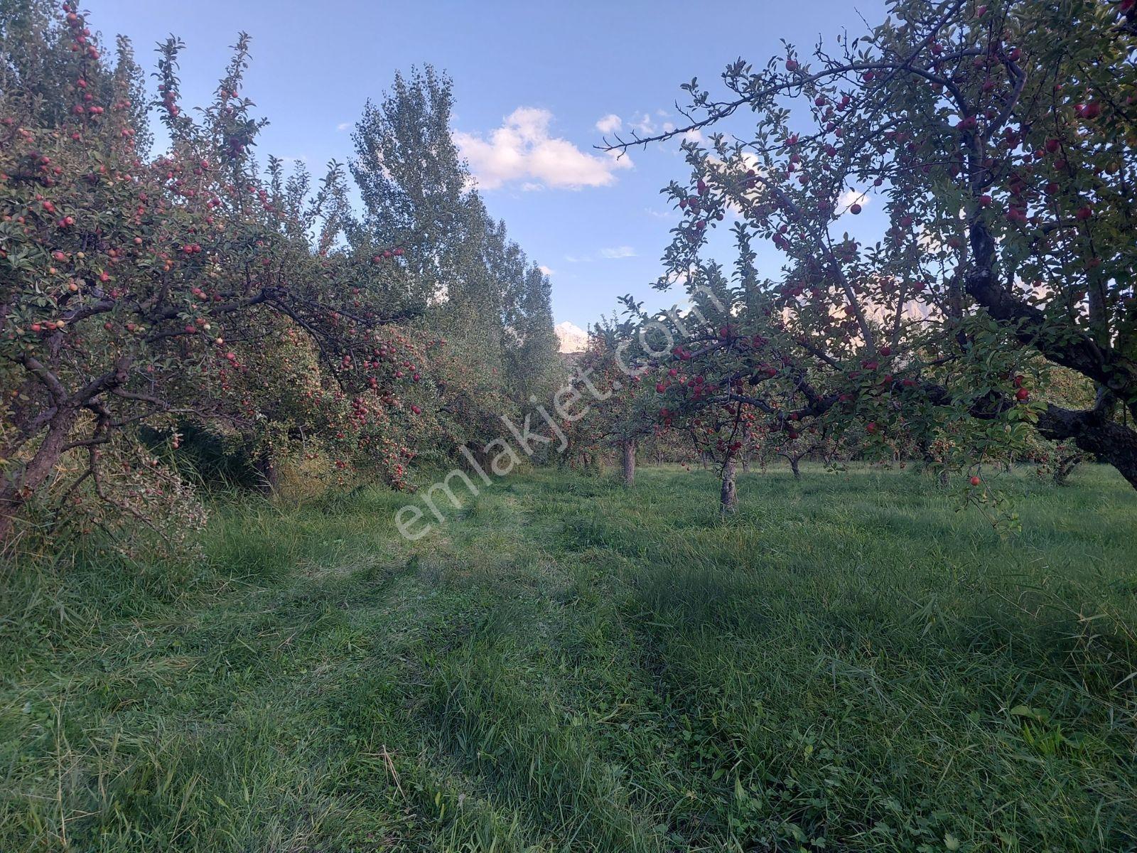 Çamardı'da Ecemiş Çayına Sıfır Satılık 8.775 M² Elma Bahçesi — fotoğraf 20