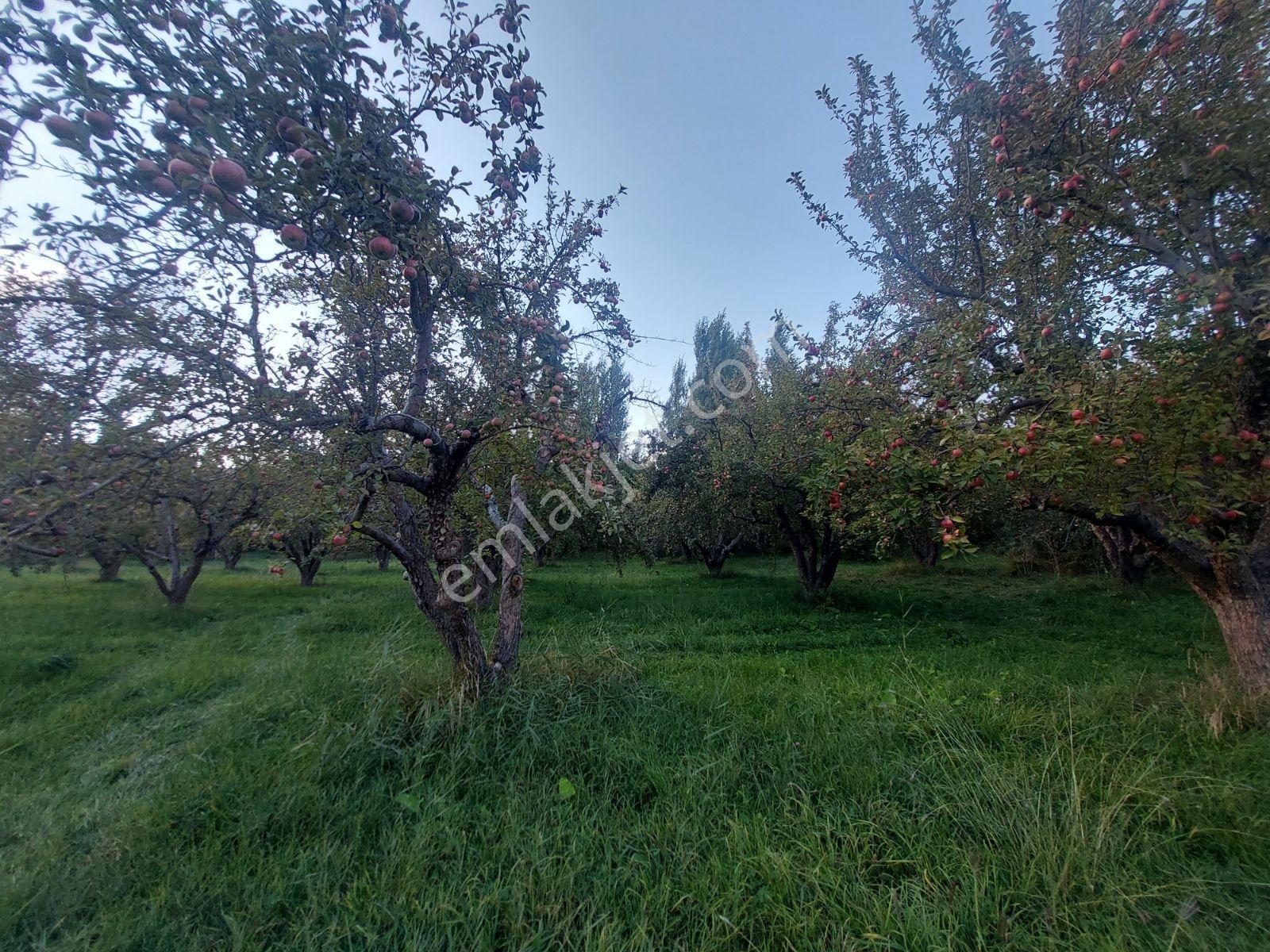 Çamardı'da Ecemiş Çayına Sıfır Satılık 8.775 M² Elma Bahçesi — fotoğraf 29