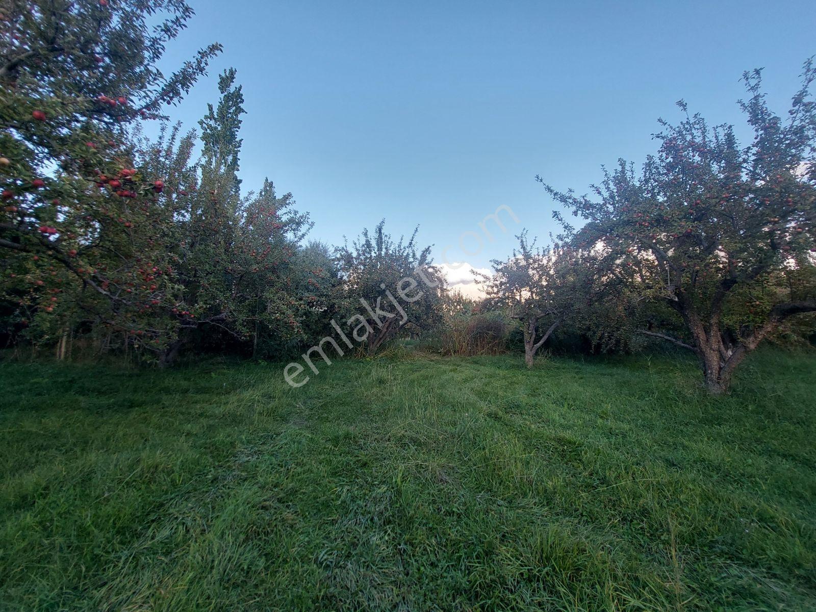 Çamardı'da Ecemiş Çayına Sıfır Satılık 8.775 M² Elma Bahçesi — fotoğraf 30