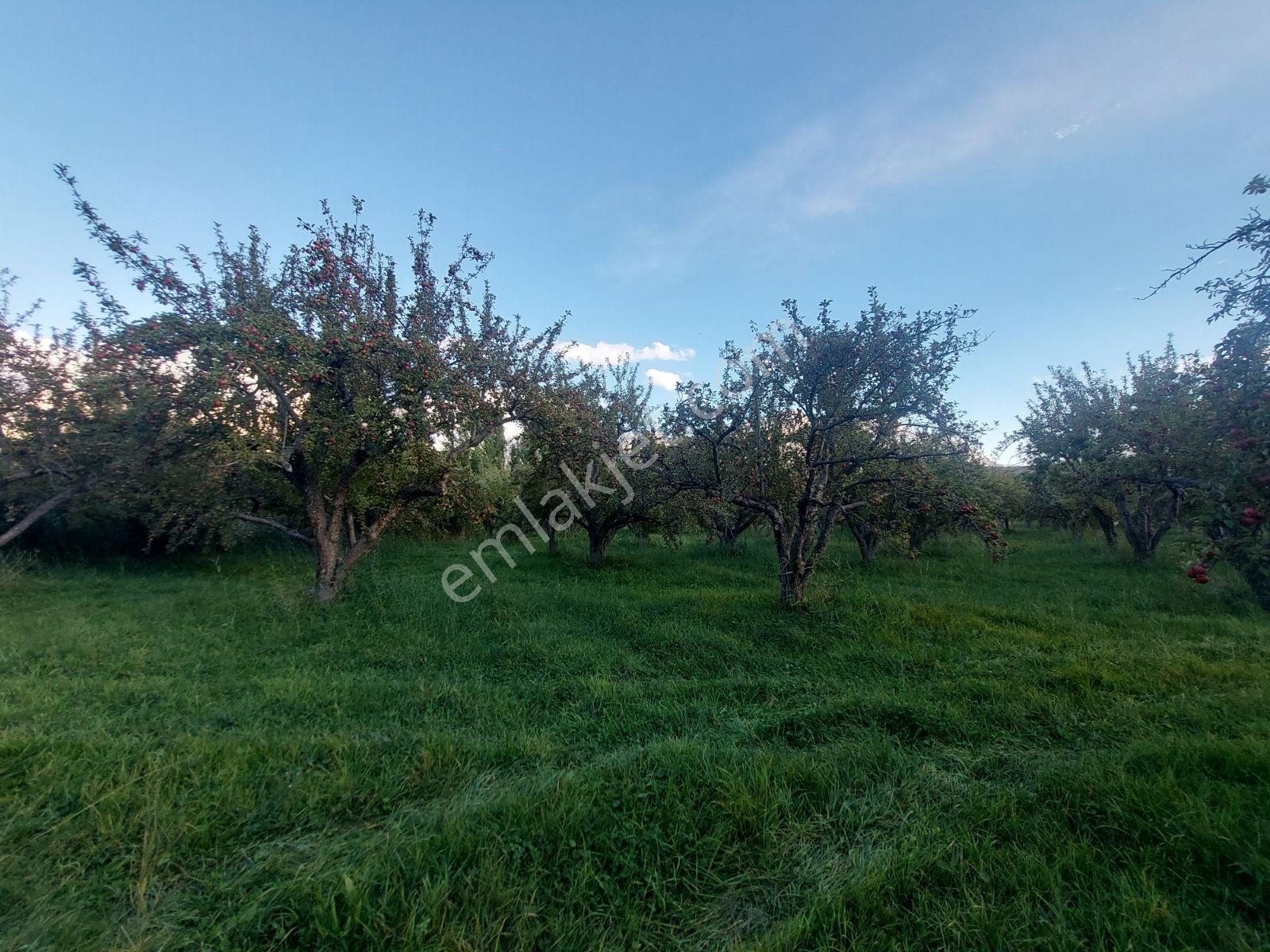 Çamardı'da Ecemiş Çayına Sıfır Satılık 8.775 M² Elma Bahçesi — fotoğraf 31