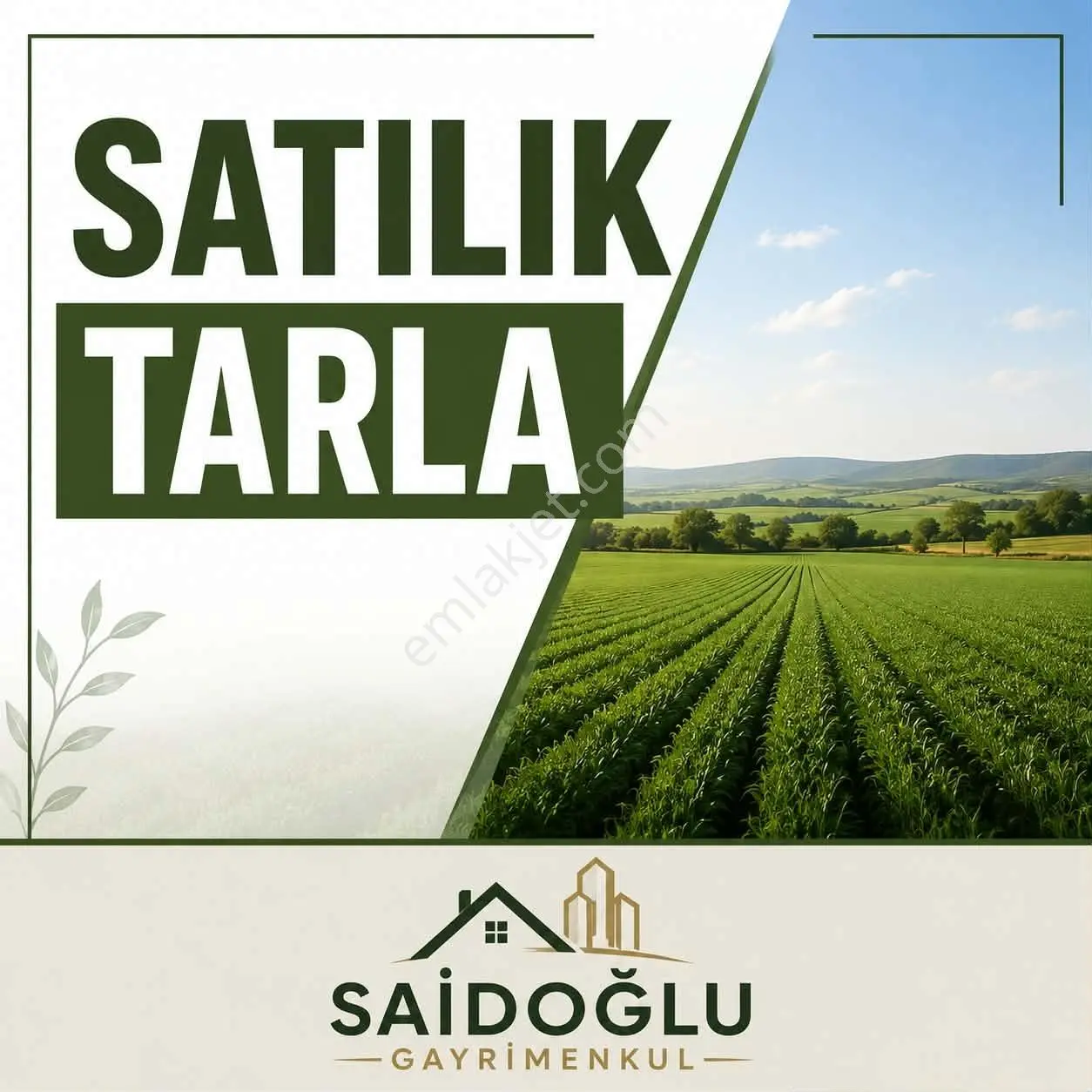 Denizli Pamukkale Kurtluca Satılık Tarla