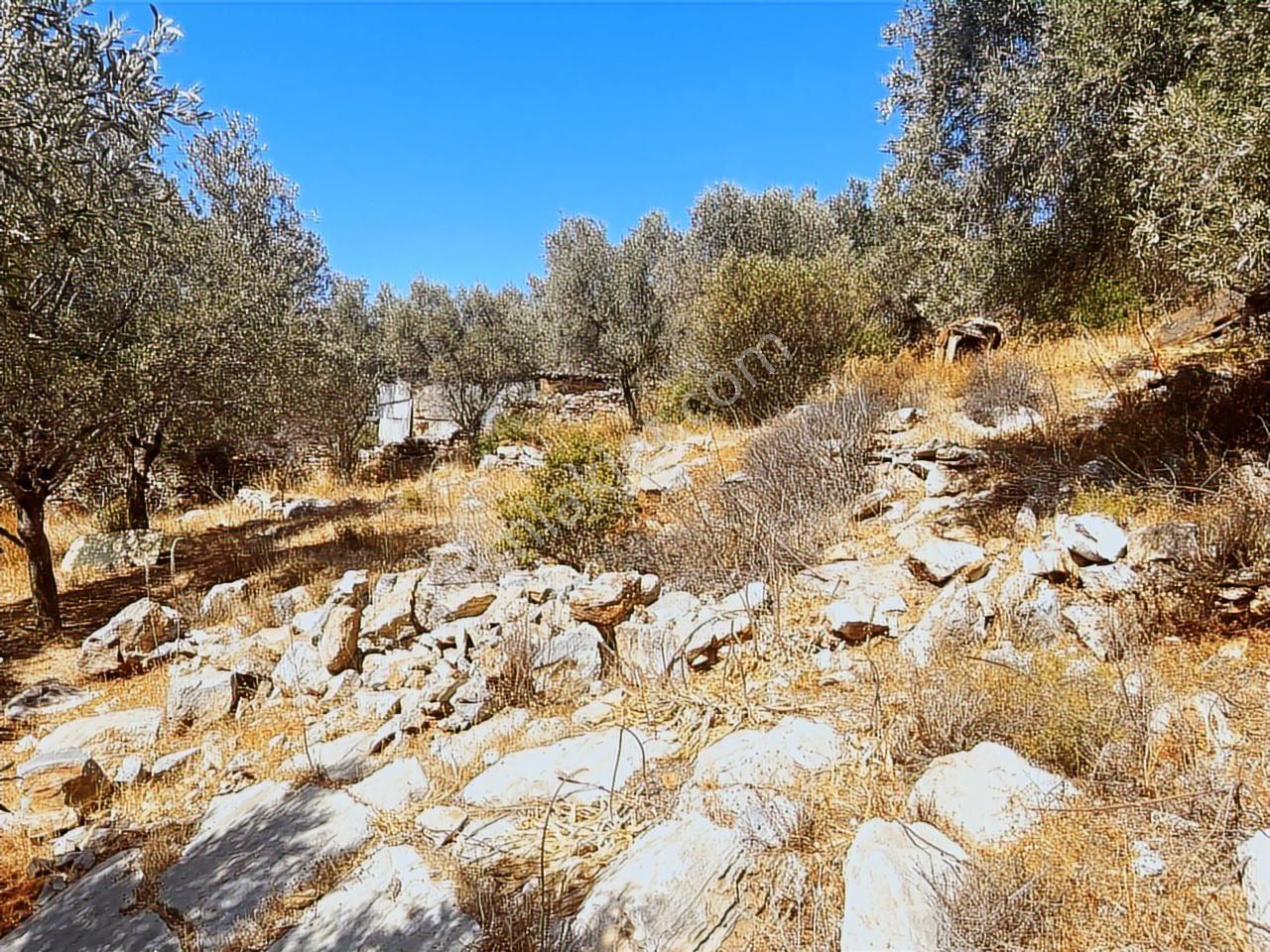 Bodrum İçmeler'de Deniz Manzaralı Yatırımlık Arsa — fotoğraf 8