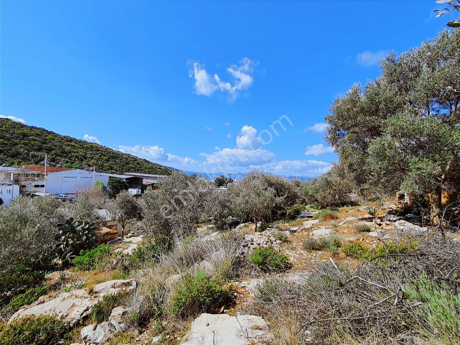 Bodrum İçmeler'de Deniz Manzaralı Yatırımlık Arsa — fotoğraf 11