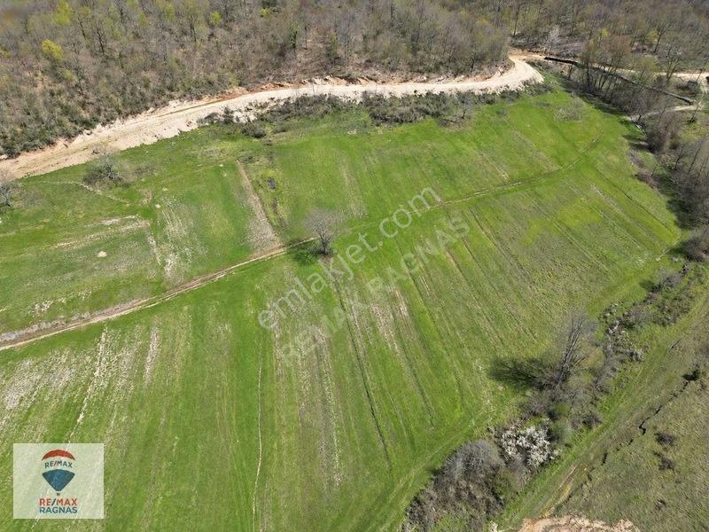 Şile Yazımanayır Mah. Orman Yolu Cepheli 1.037M² Satılık Tarla
