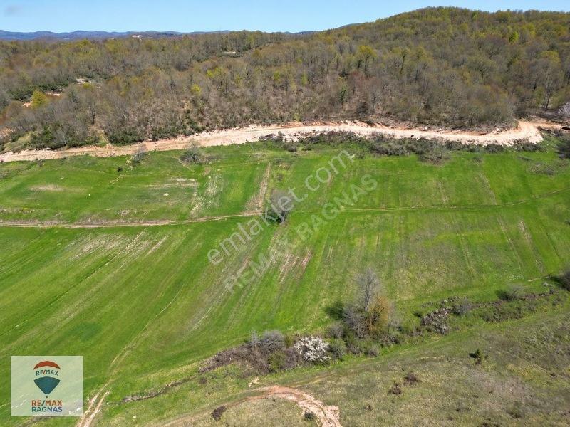 Şile Yazımanayır Mah. Orman Yolu Cepheli 1.037m² Satılık Tarla — fotoğraf 2