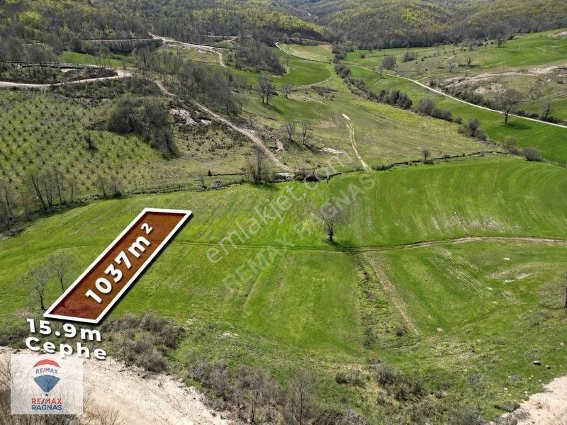 Şile Yazımanayır Mah. Orman Yolu Cepheli 1.037m² Satılık Tarla — fotoğraf 3