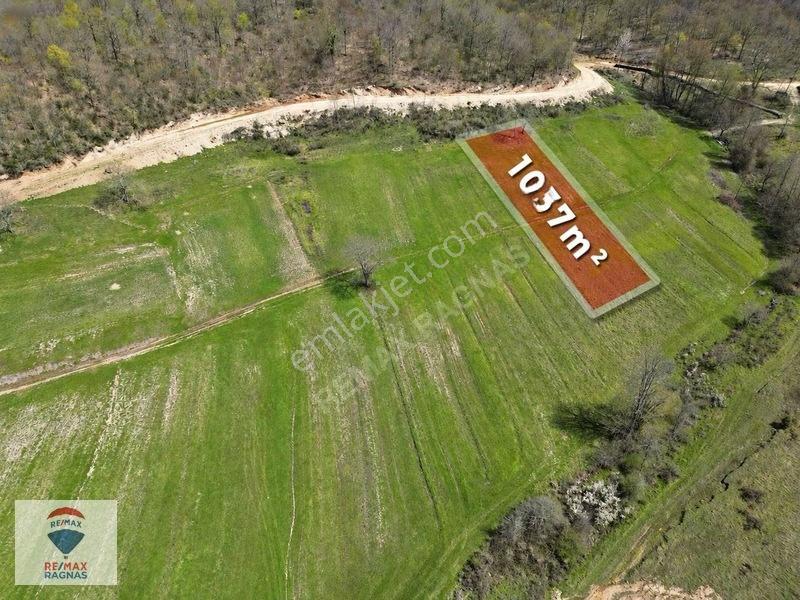 Şile Yazımanayır Mah. Orman Yolu Cepheli 1.037m² Satılık Tarla — fotoğraf 4